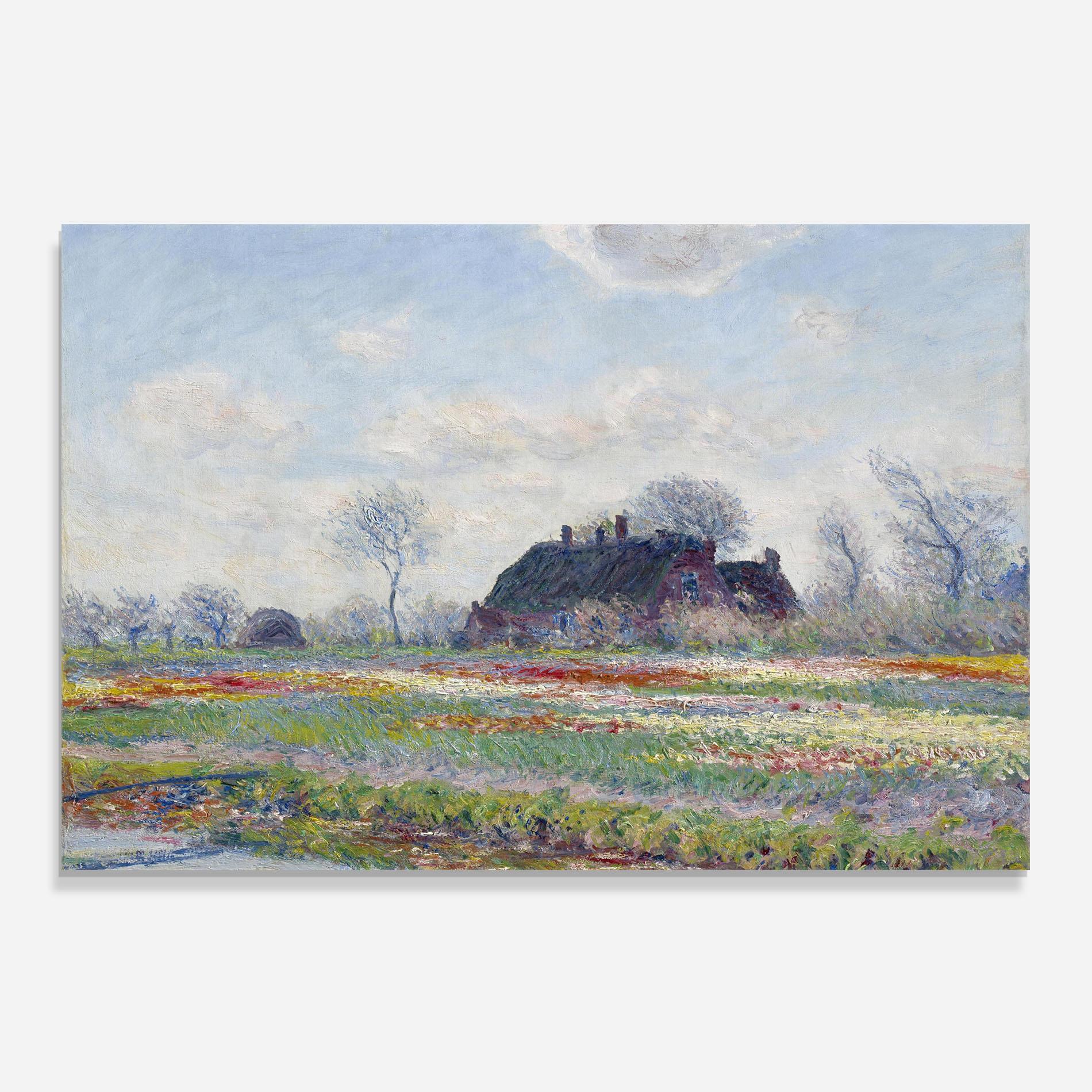 Panou Sticla Bucatarie Tulip Fields At Sassenheim mockup 0