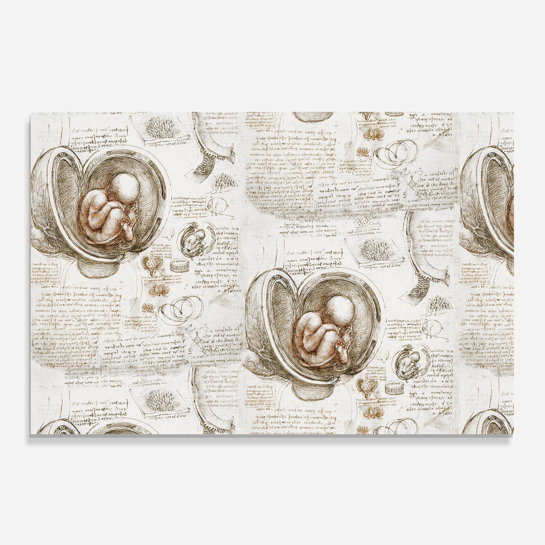 Panou Sticla Bucatarie Leonardo Studies Of The Foetus mockup 0