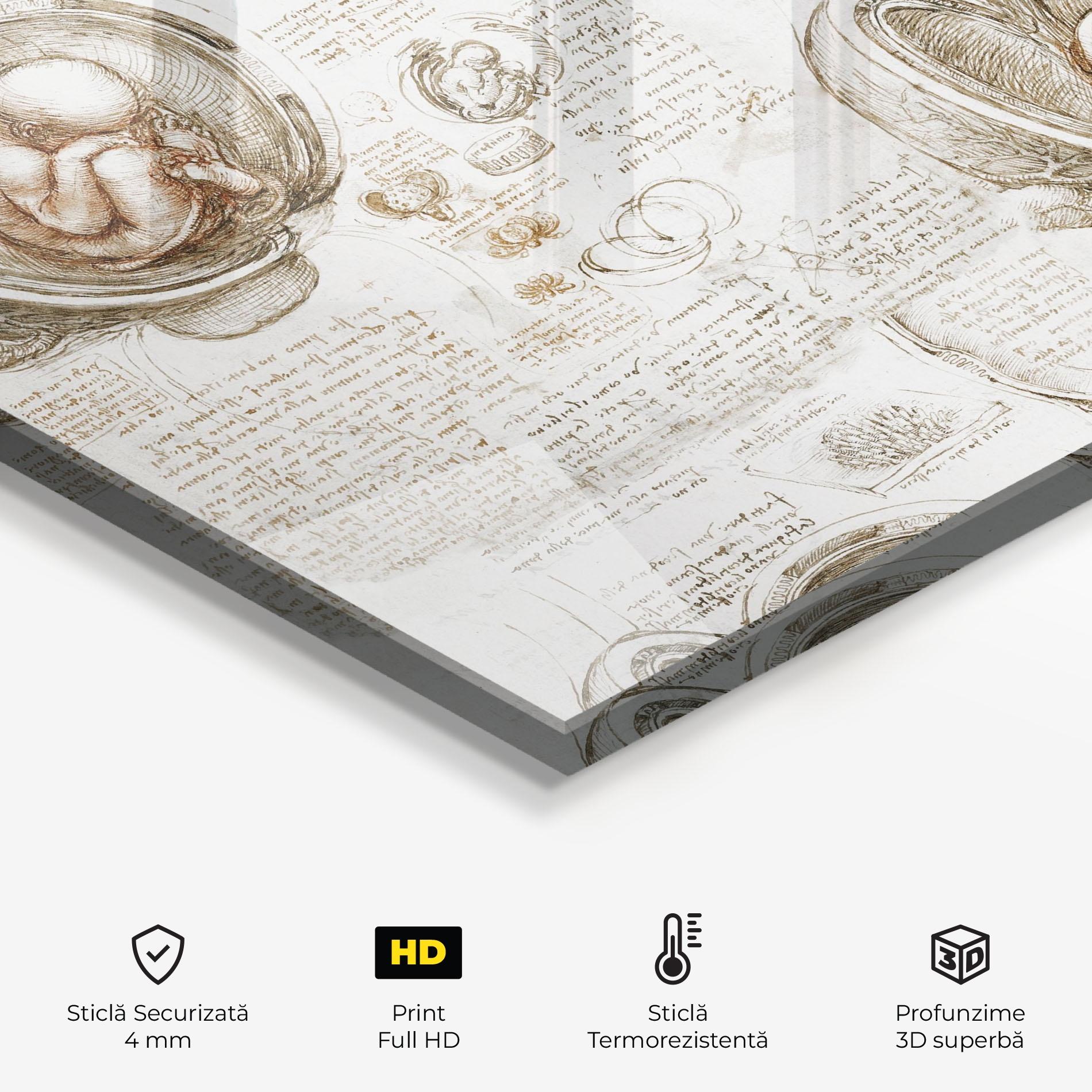 Panou Sticla Bucatarie Leonardo Studies Of The Foetus mockup 2