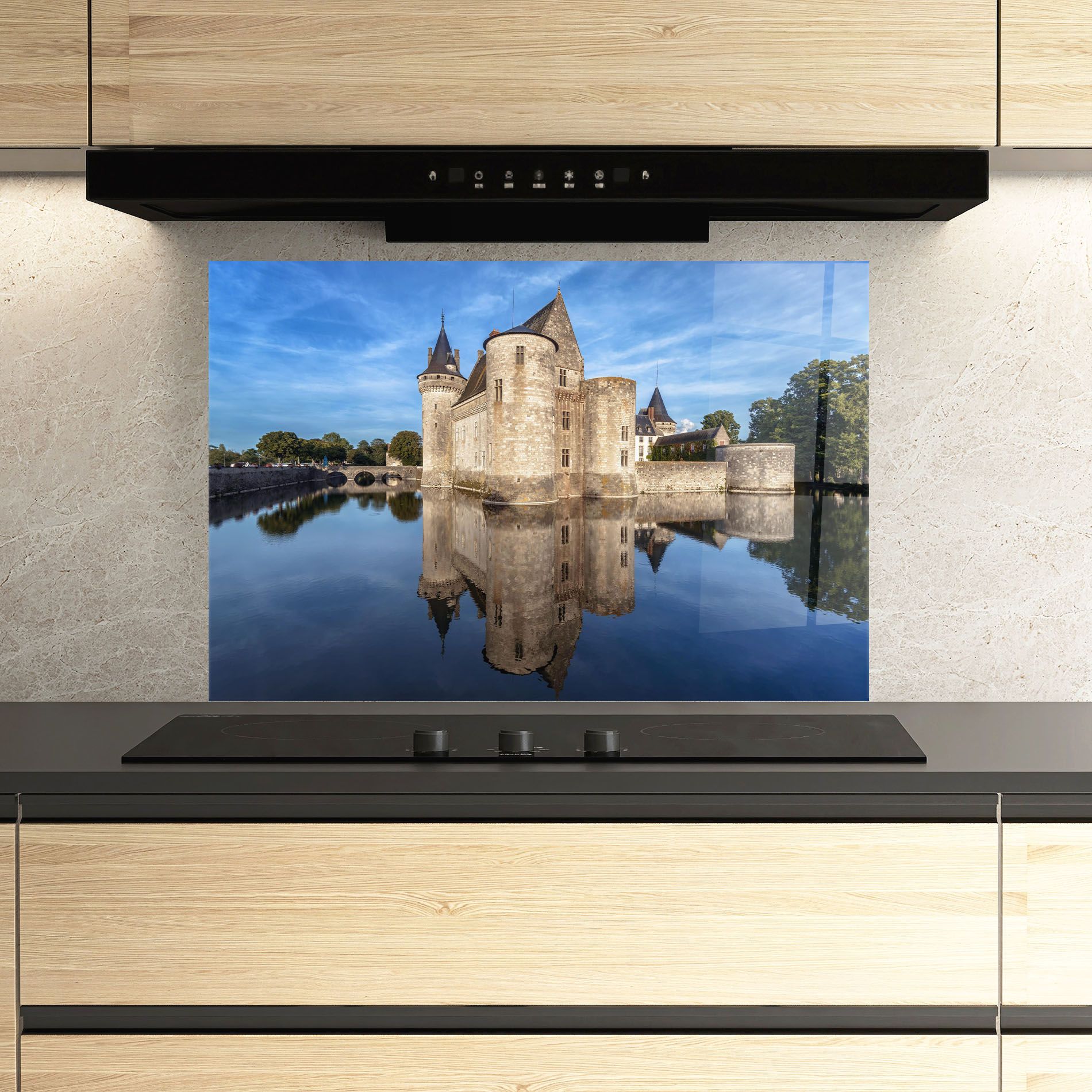 Castle Chateau De Sullysurloire mockup 3