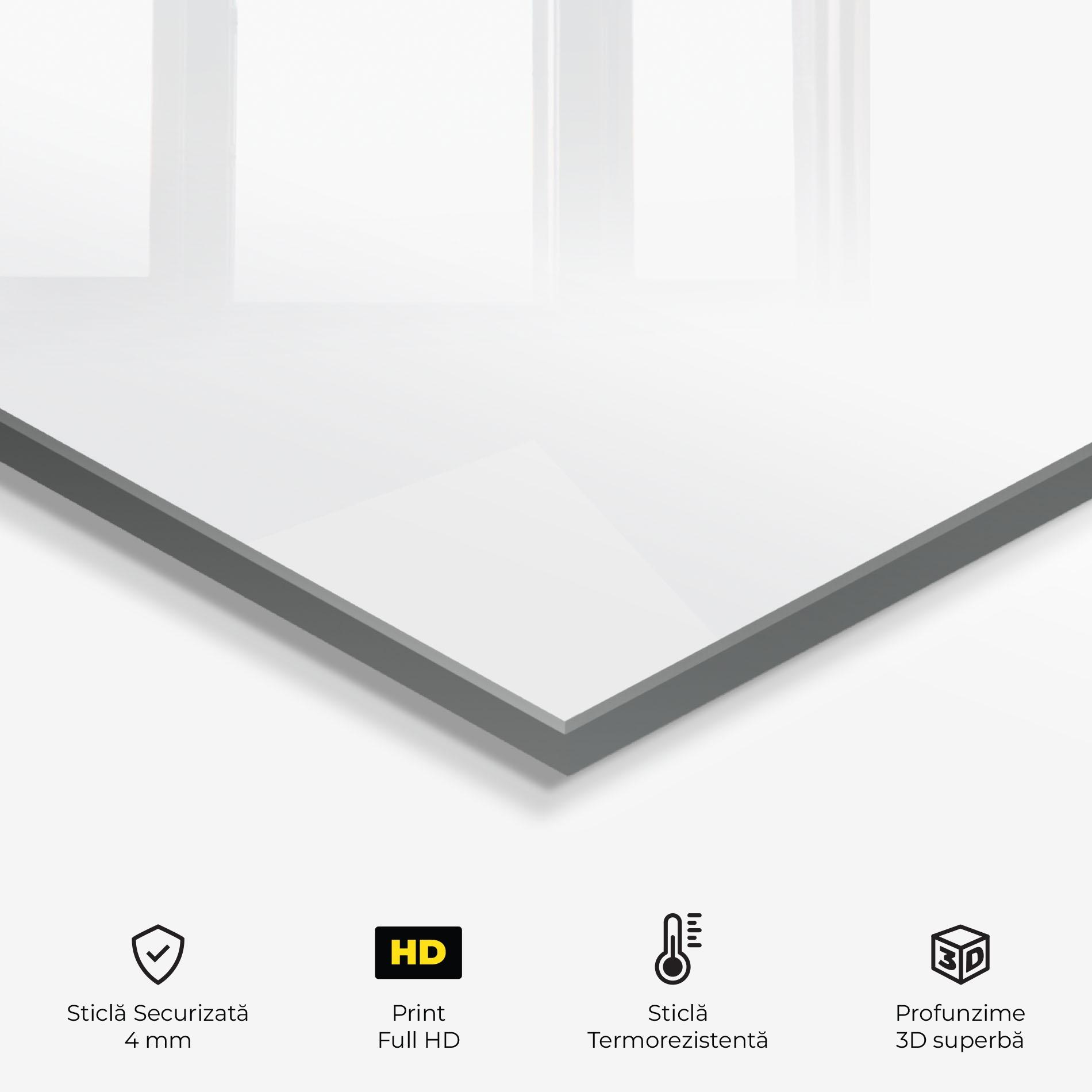 Panou Sticla Bucatarie Grey Basket Hoop mockup 2