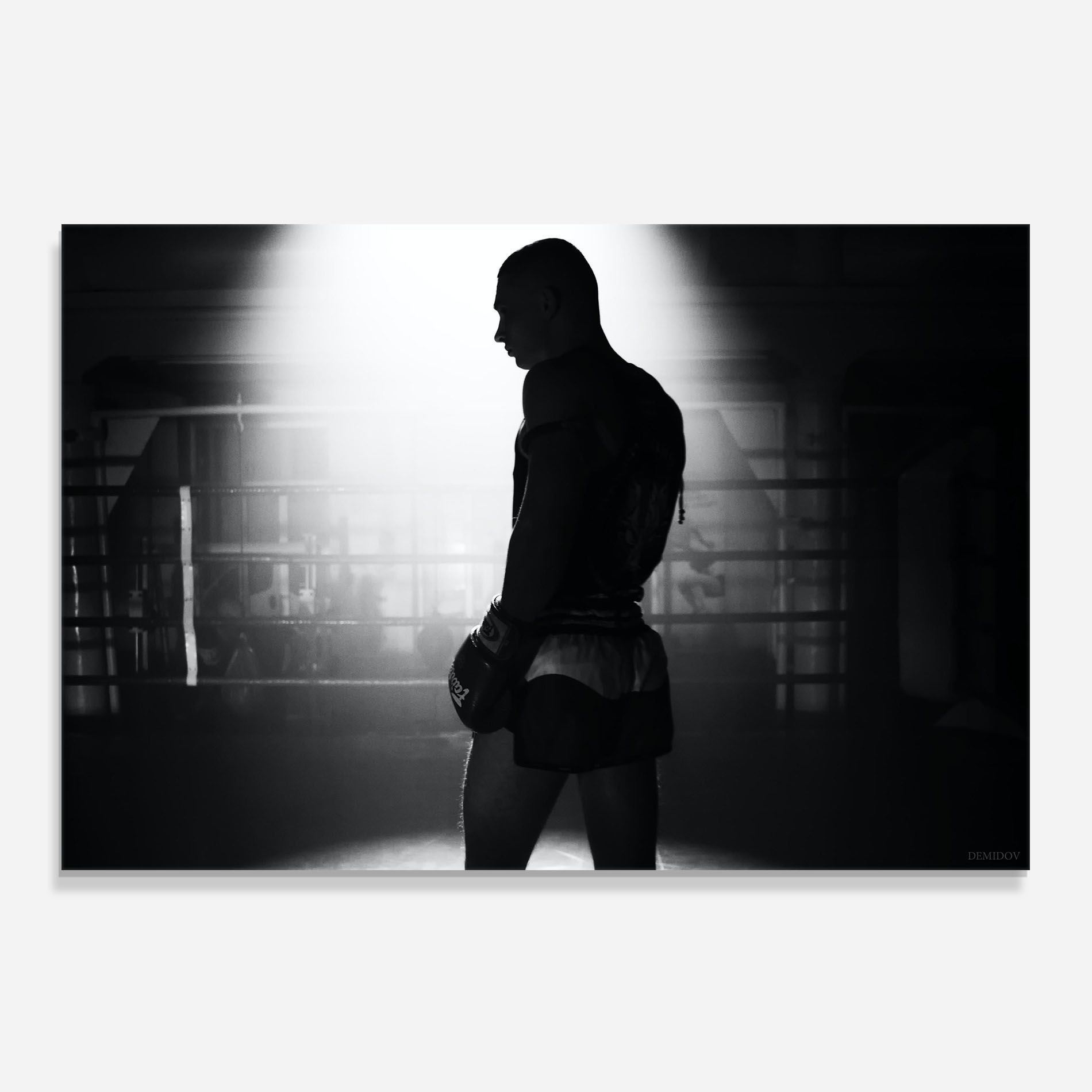 Boxer Shilouette mockup 0