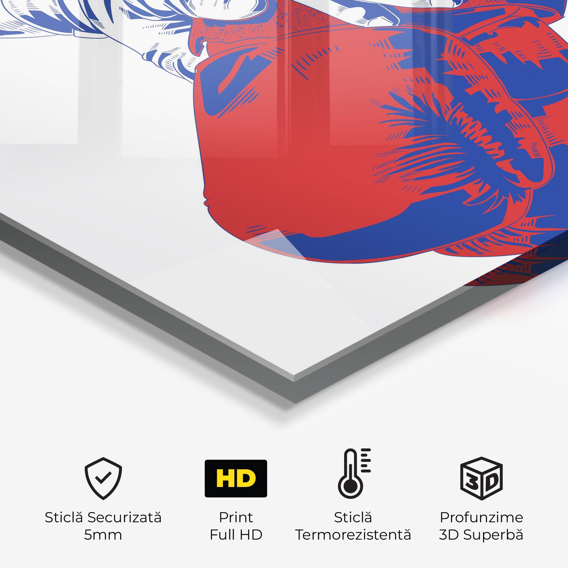 Panou Sticla Bucatarie Boxing Blue mockup 2