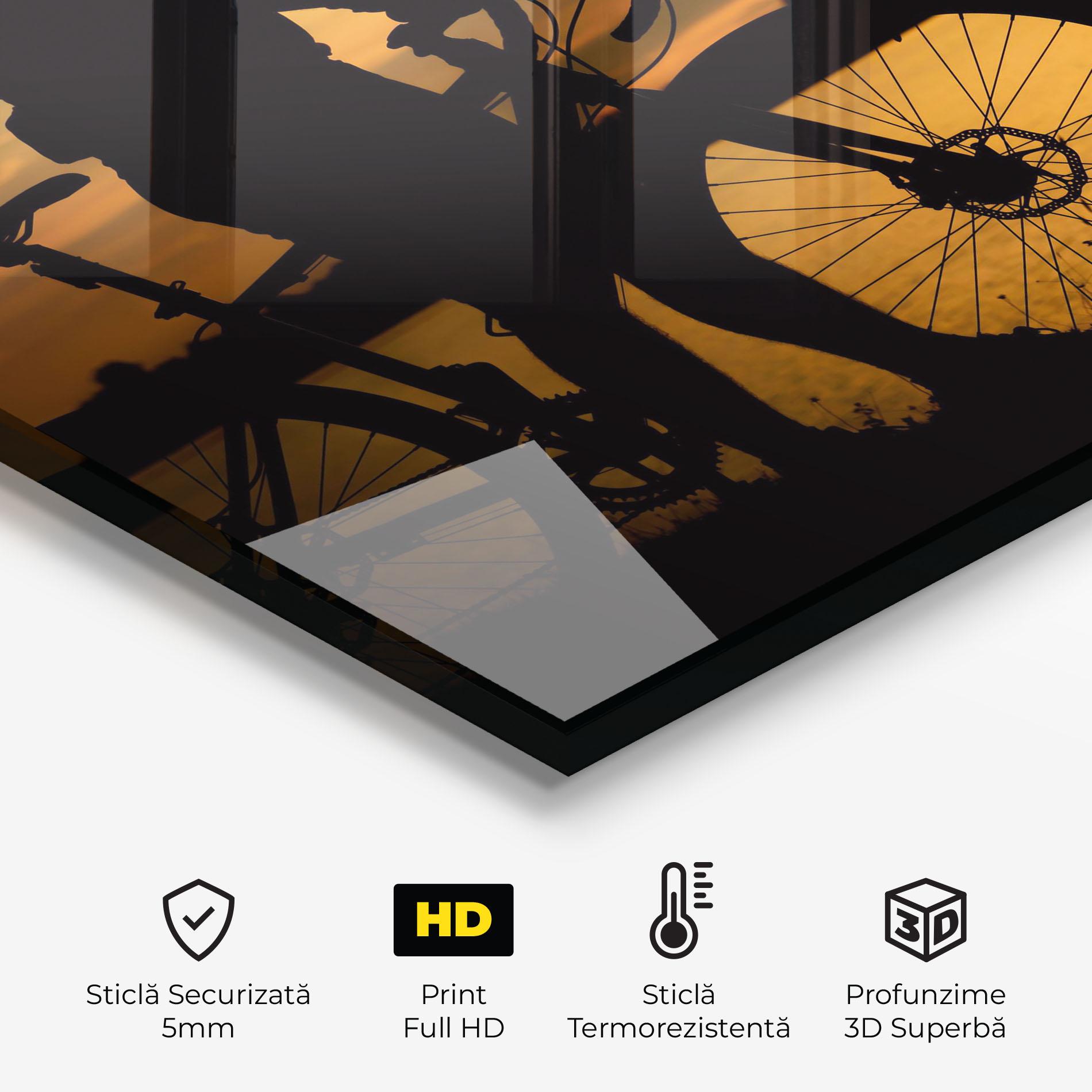 Panou Sticla Bucatarie Bicycle Sunset Silhouette mockup 2