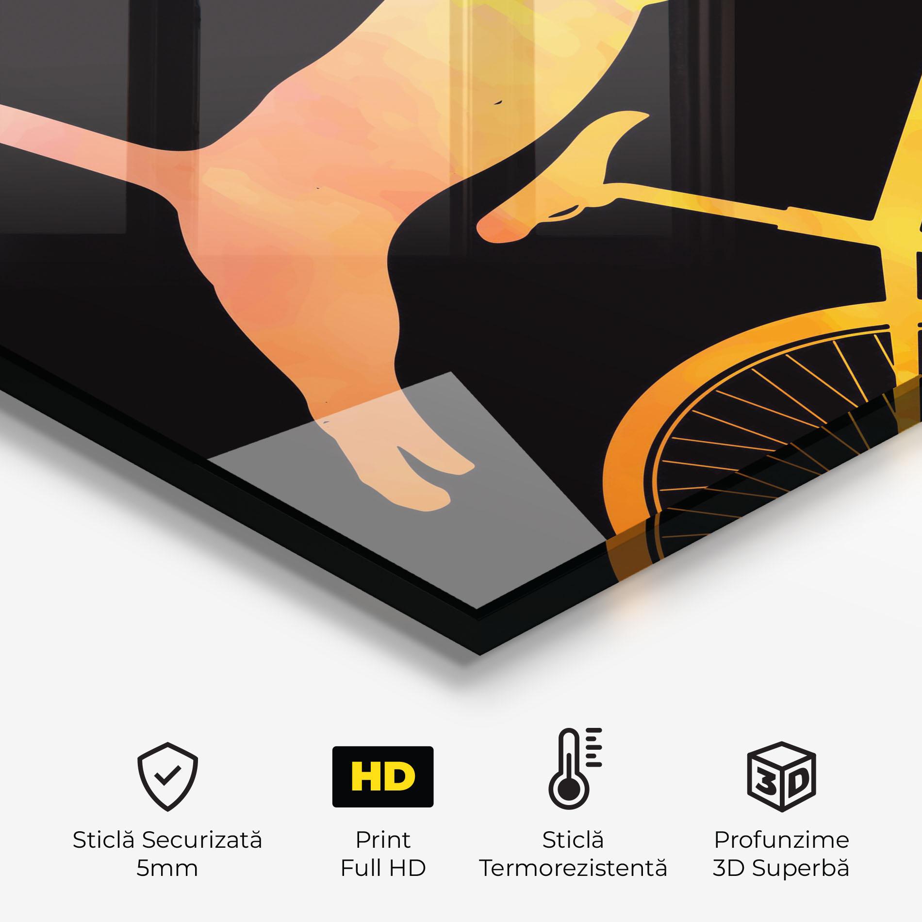 Panou Sticla Bucatarie Cat Bike mockup 2