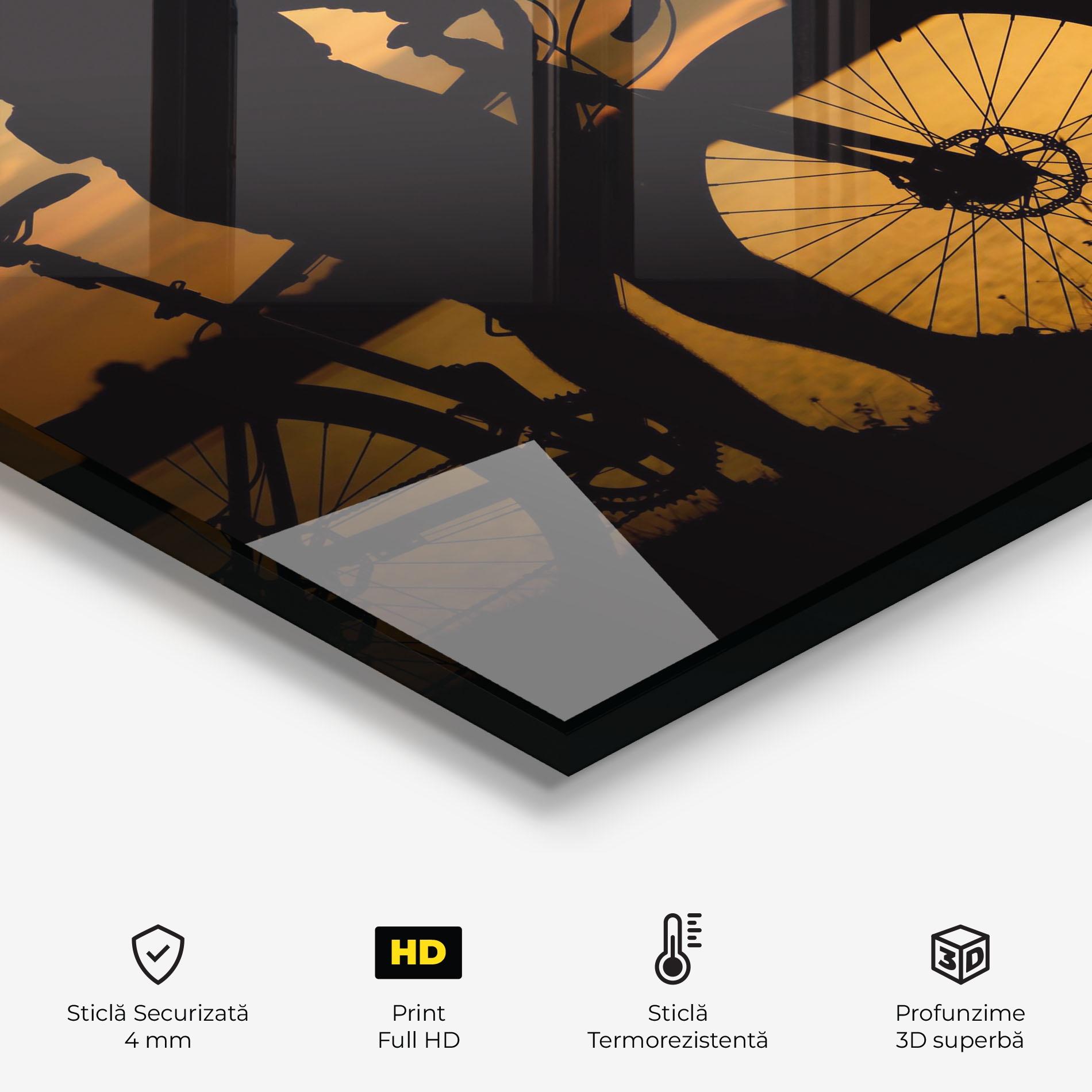Panou Sticla Bucatarie Bicycle Sunset Silhouette mockup 2