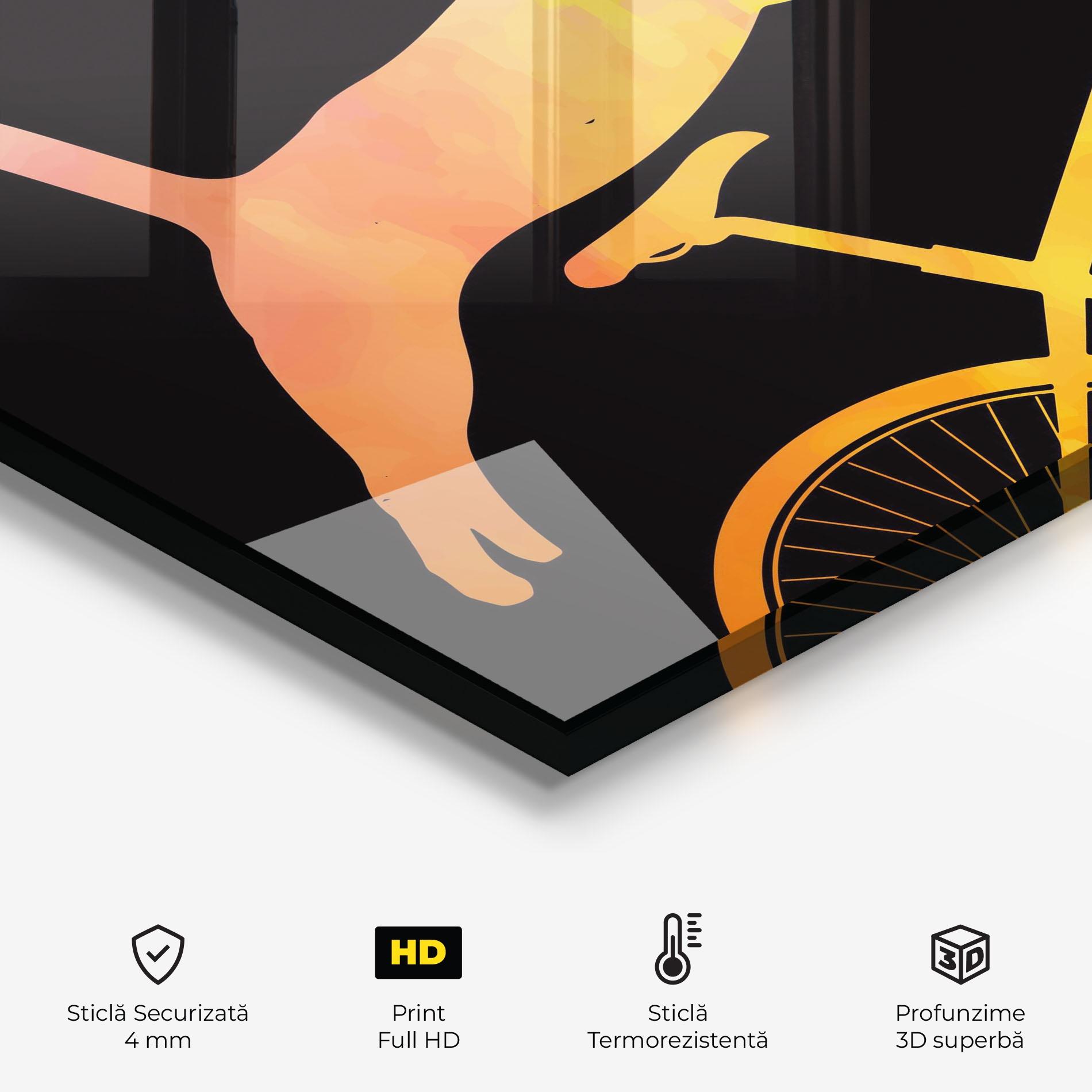 Panou Sticla Bucatarie Cat Bike mockup 2