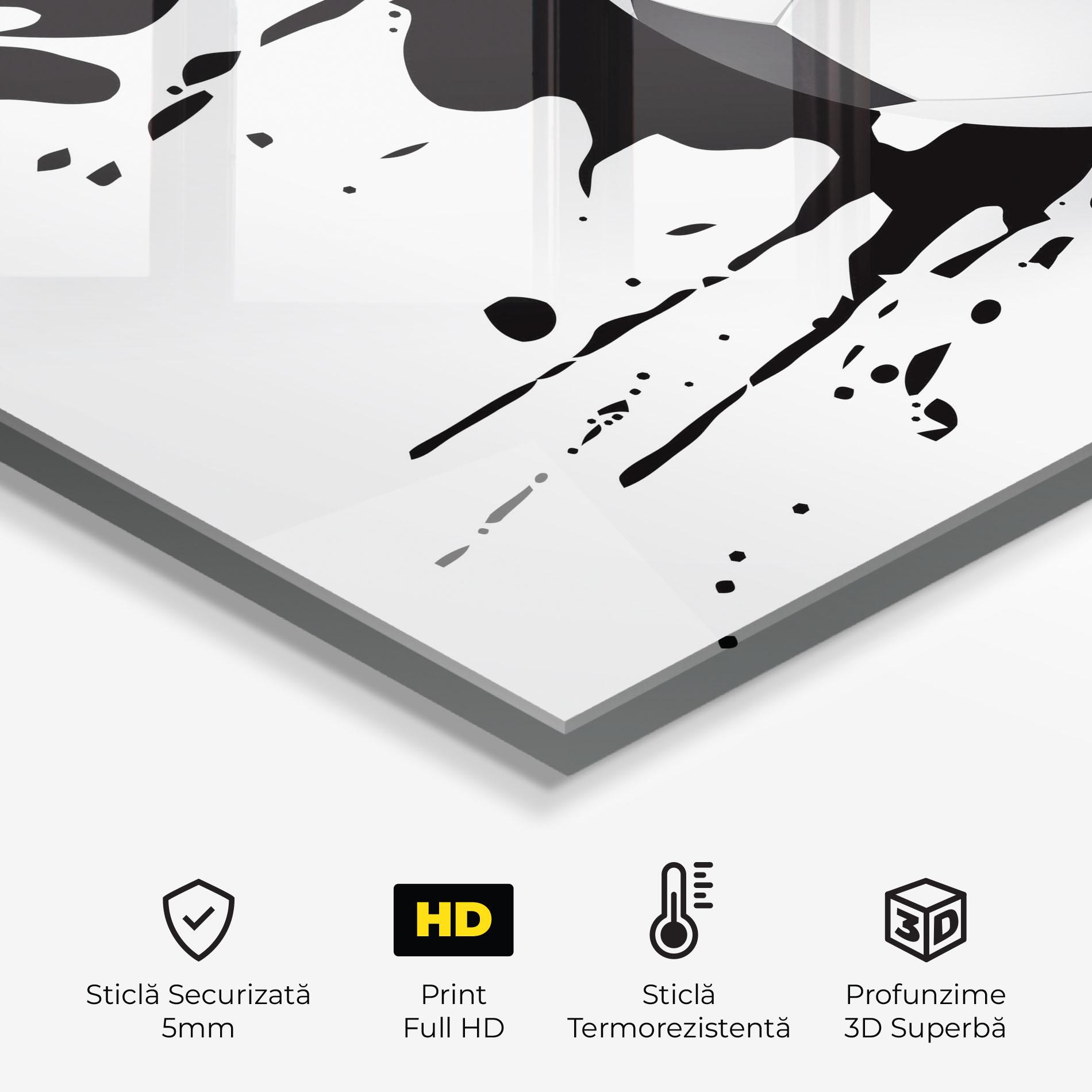 Panou Sticla Bucatarie Black Paint Football mockup 2