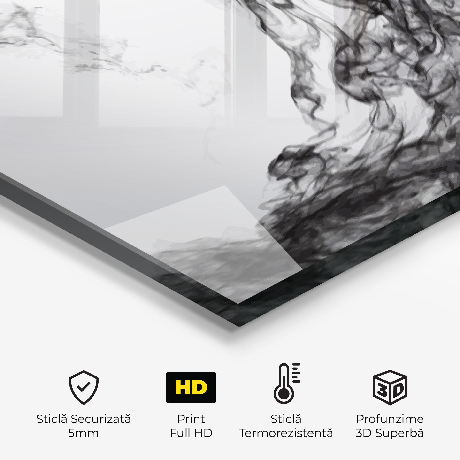 Panou Sticla Bucatarie Black Smoke Football mockup 2