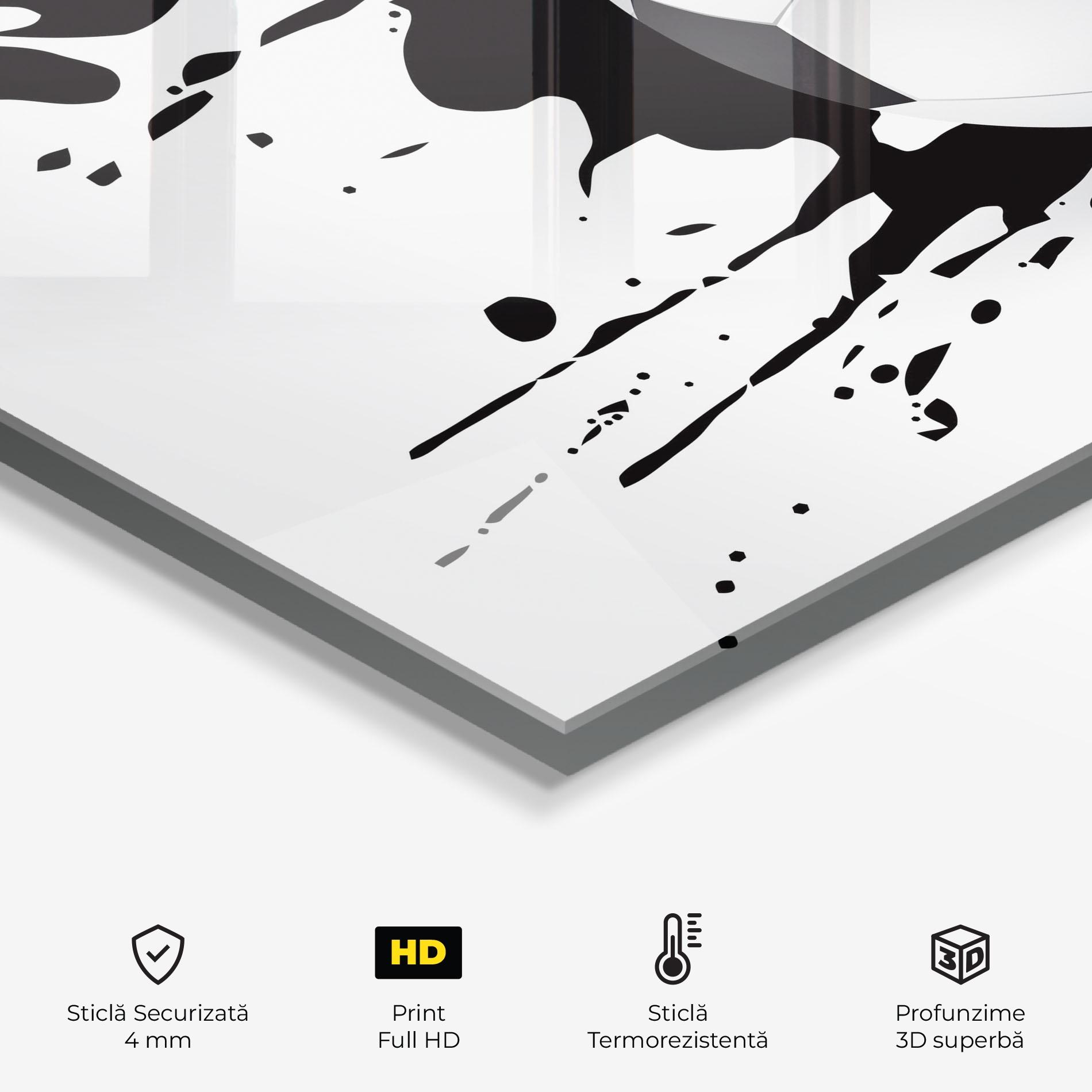 Panou Sticla Bucatarie Black Paint Football mockup 2
