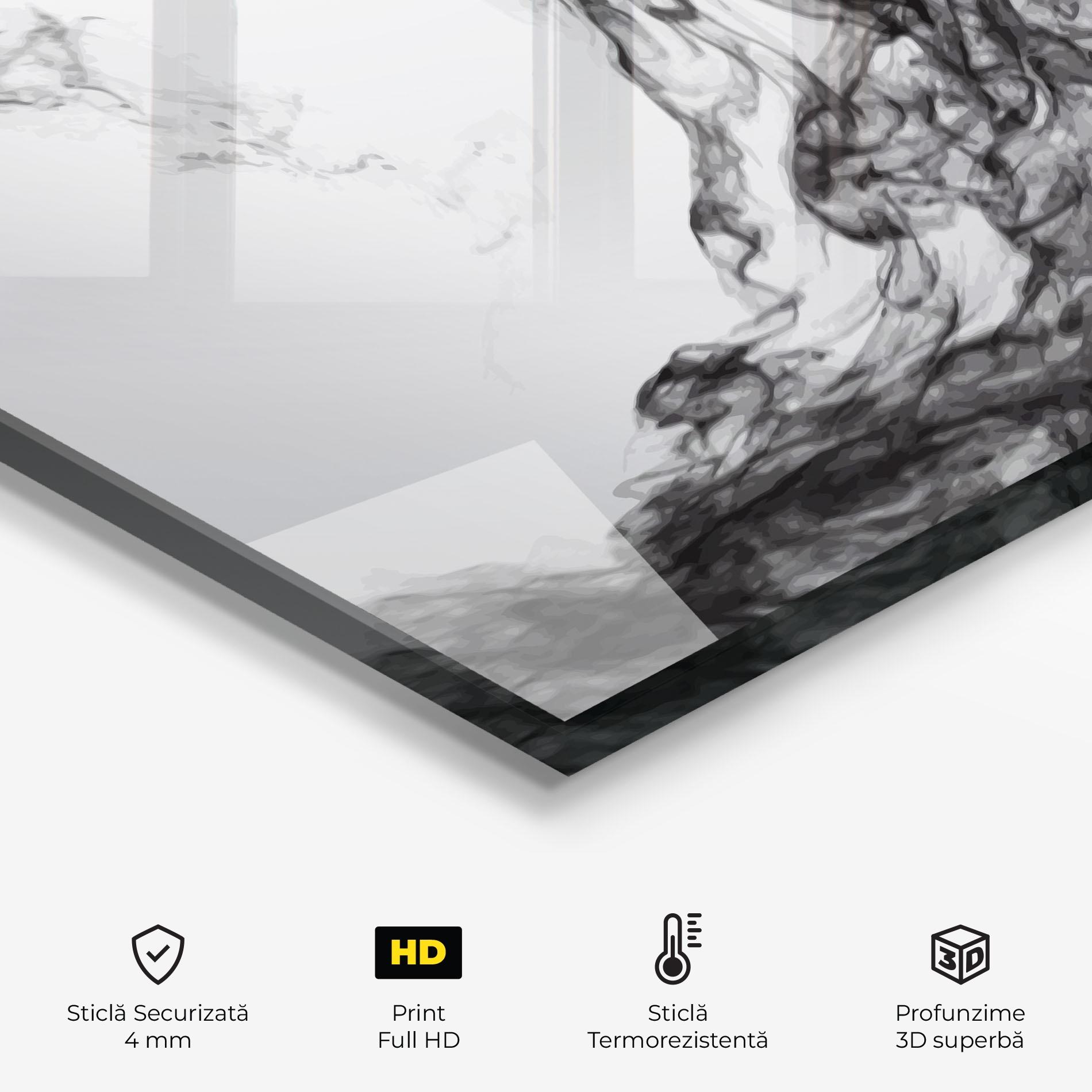 Panou Sticla Bucatarie Black Smoke Football mockup 2