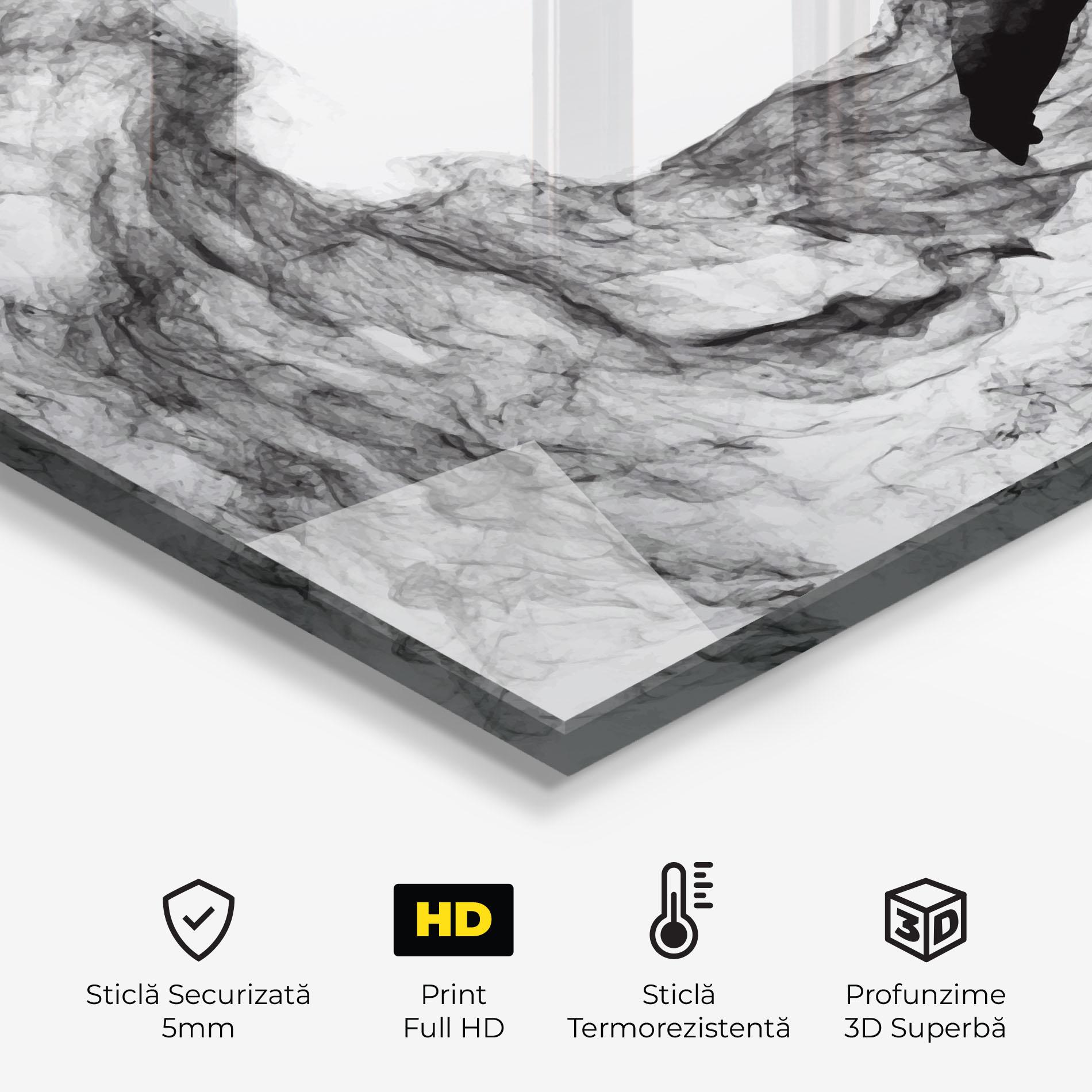 Panou Sticla Bucatarie Black Smoke Hockey mockup 2