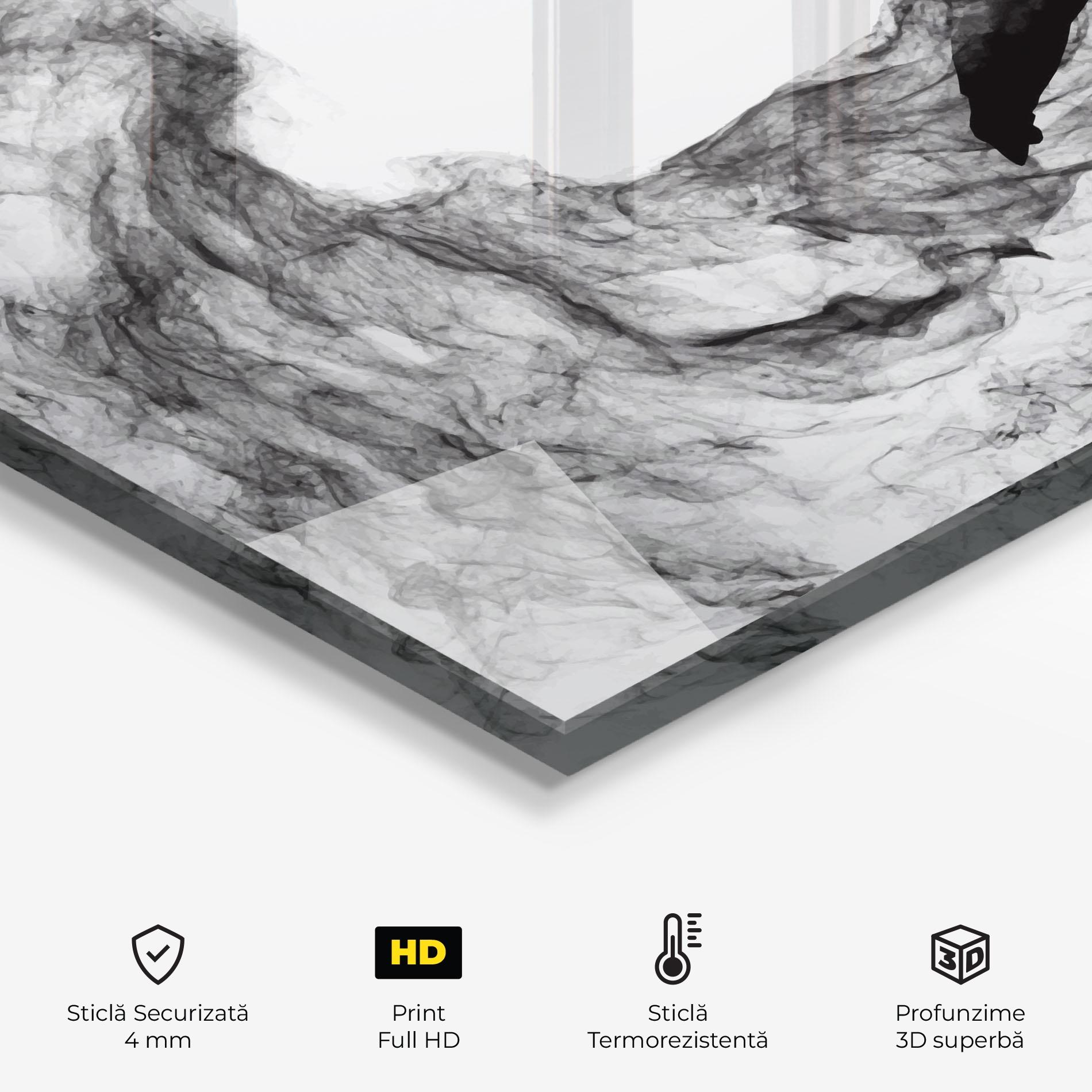 Panou Sticla Bucatarie Black Smoke Hockey mockup 2