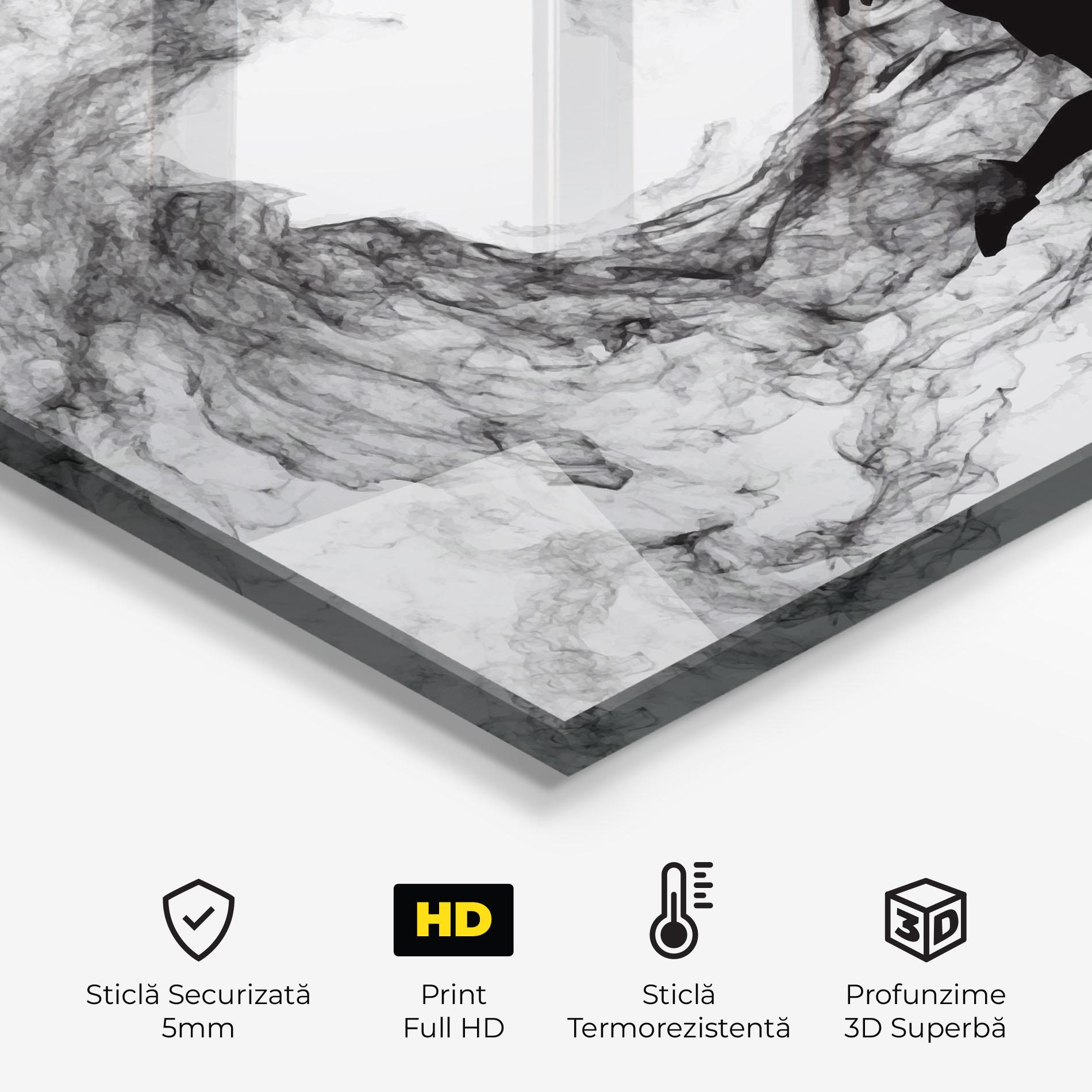 Panou Sticla Bucatarie Black Smoke Tennis mockup 2