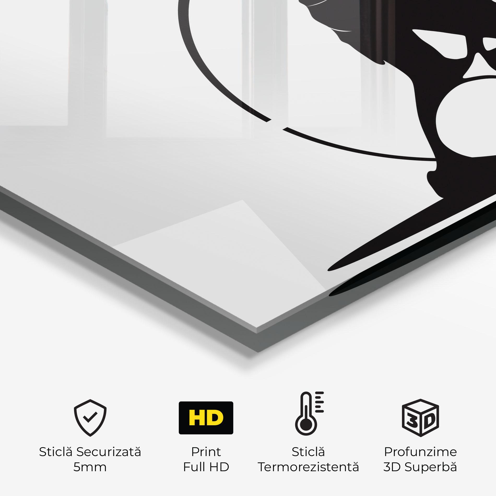 Panou Sticla Bucatarie Black Tennis Circle mockup 2