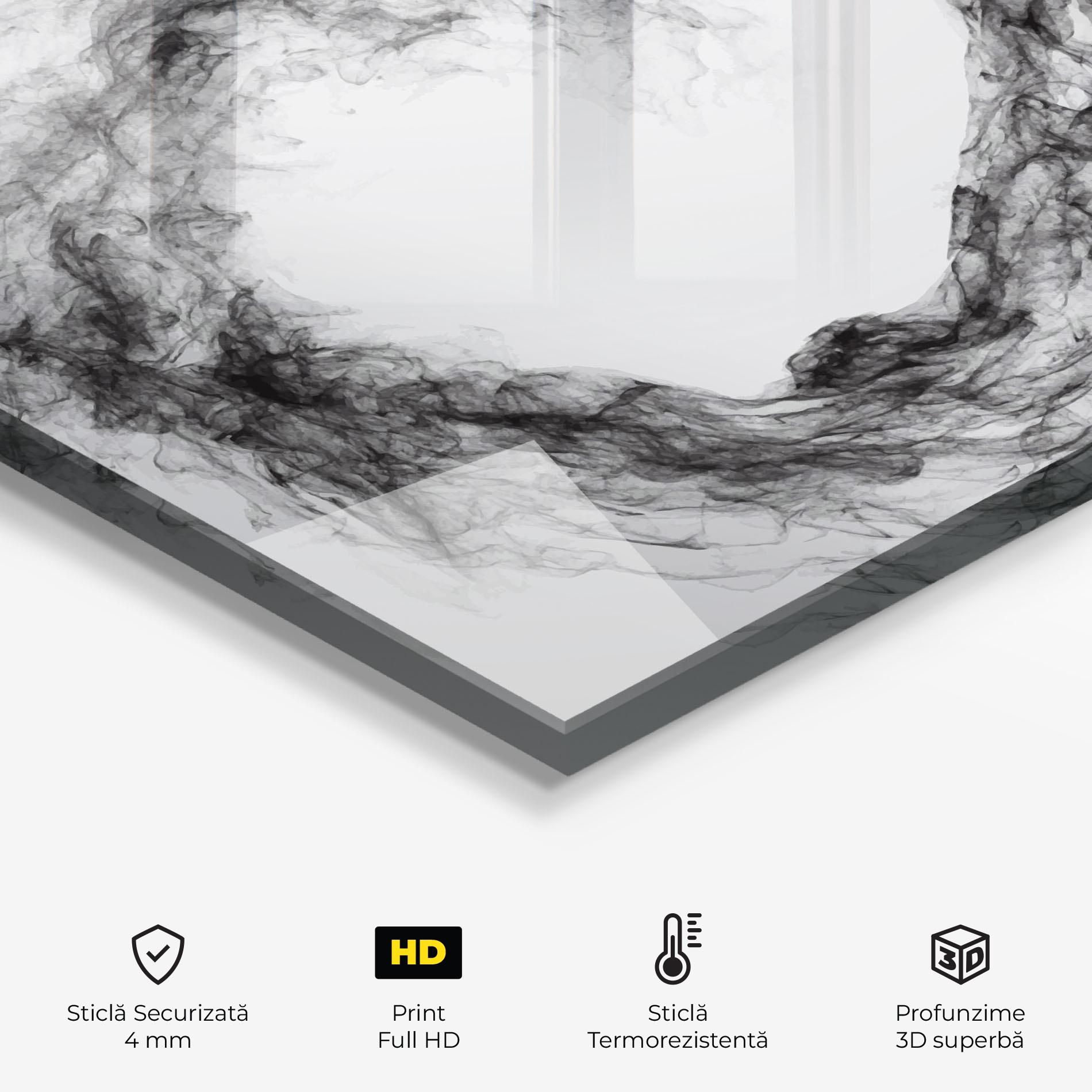 Panou Sticla Bucatarie Tennis Black Smoke mockup 2