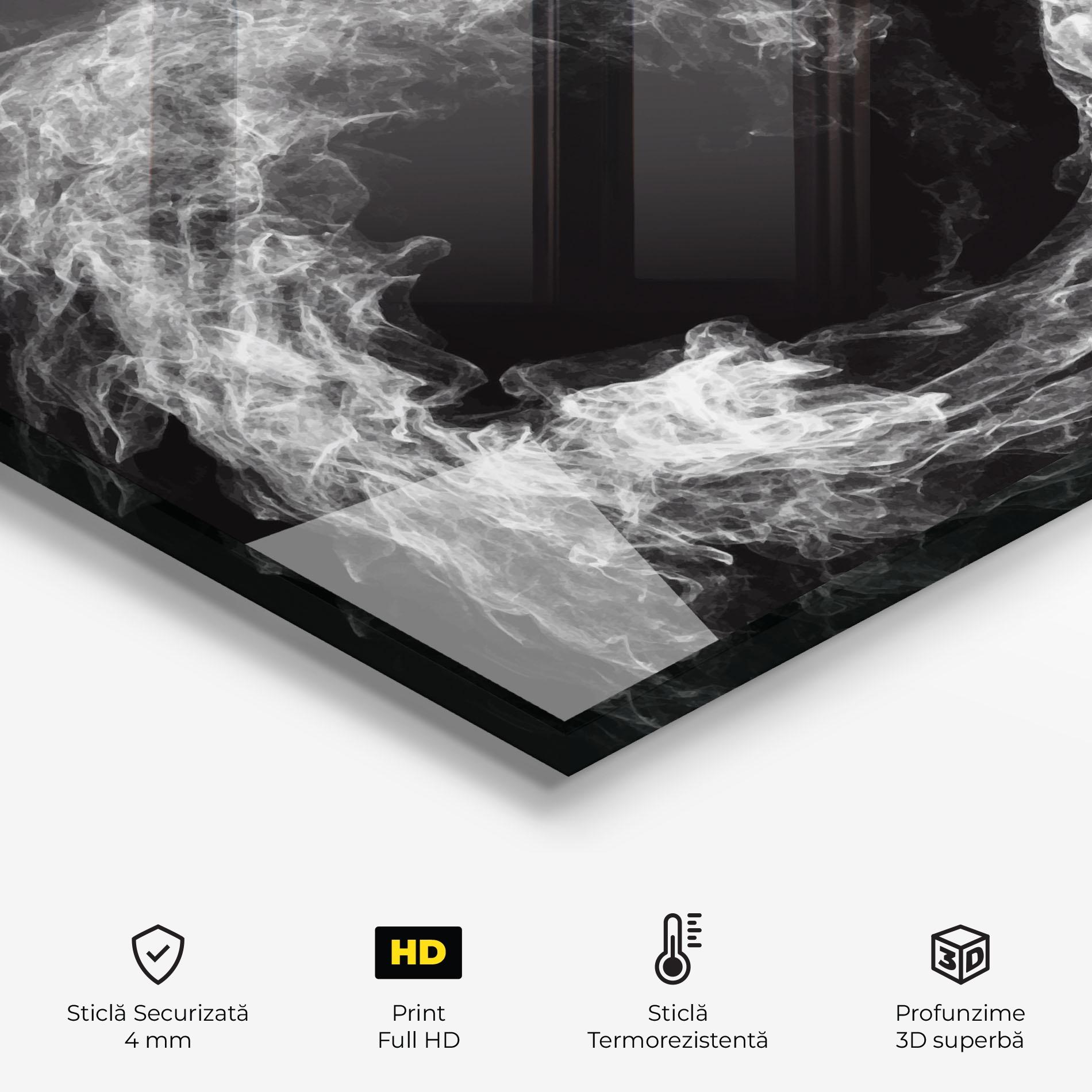 Panou Sticla Bucatarie White Tennis Smoke mockup 2