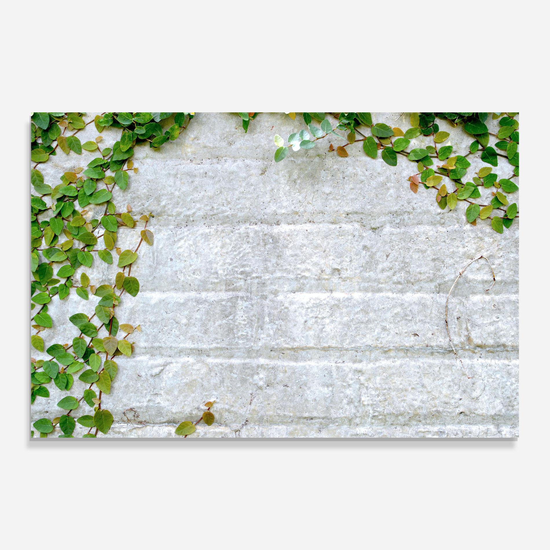 Panou Sticla Bucatarie Bricks With Leaves mockup 0