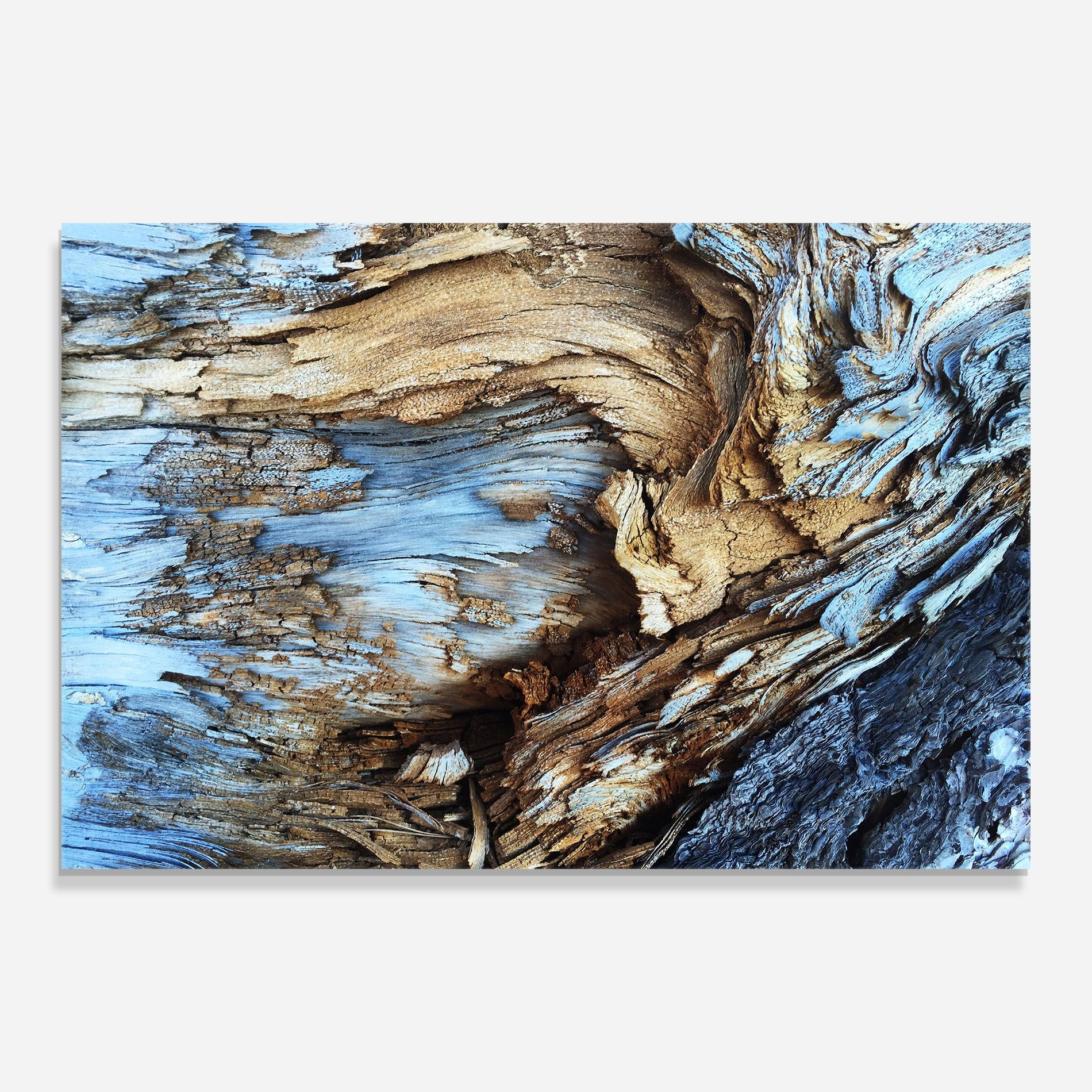 Abstract Wood Texture mockup 0