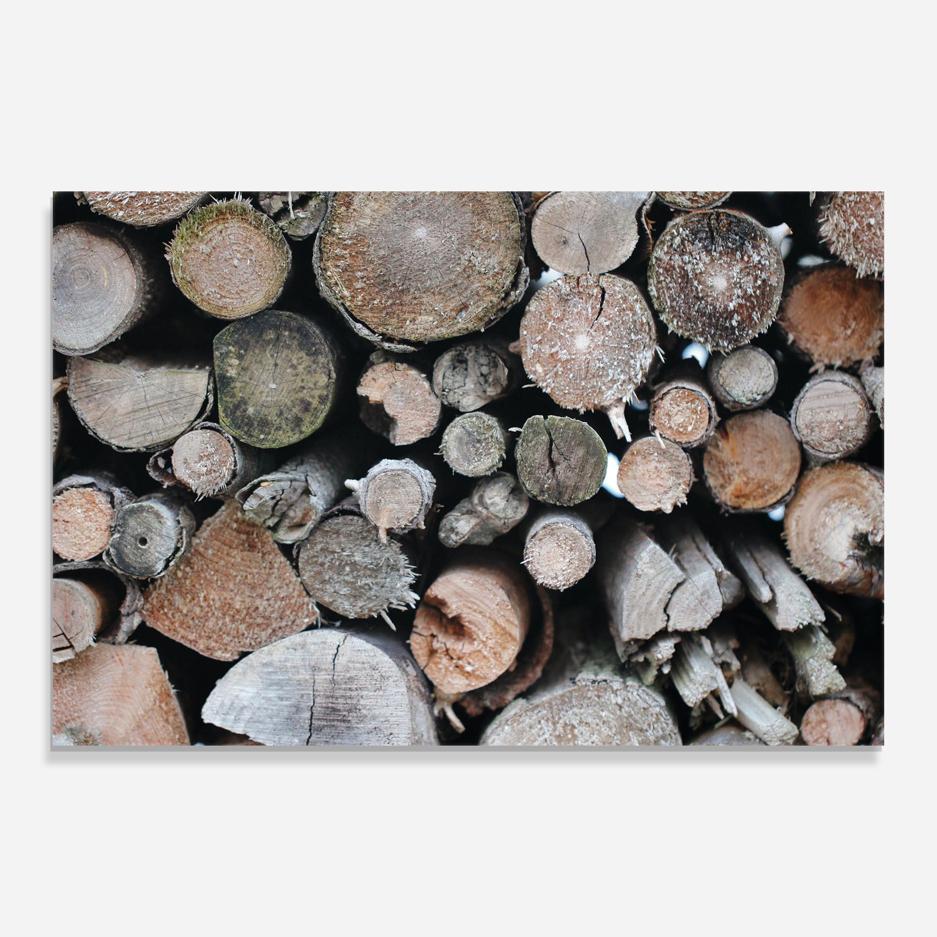 Many Logs 2 mockup 0