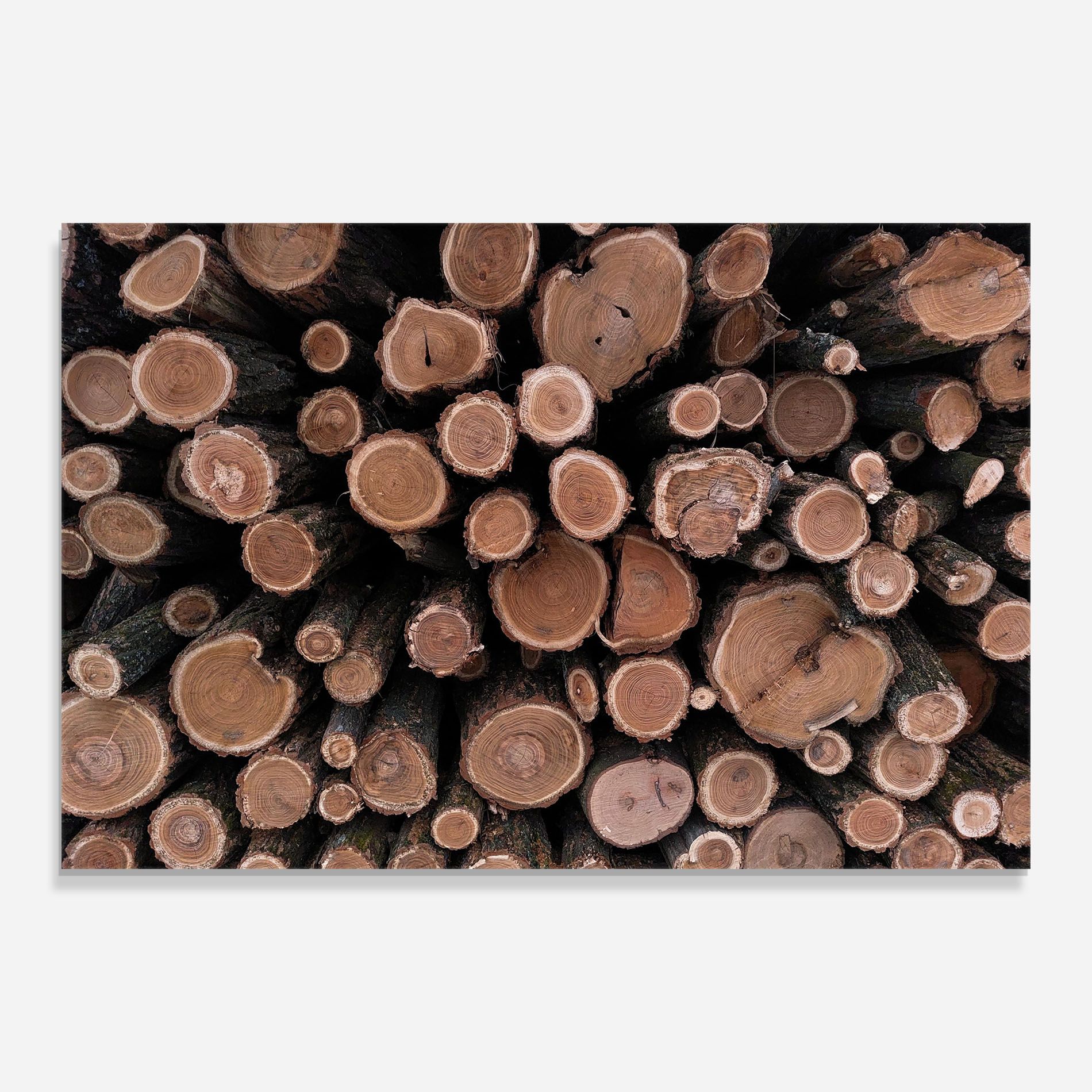 Many Logs mockup 0