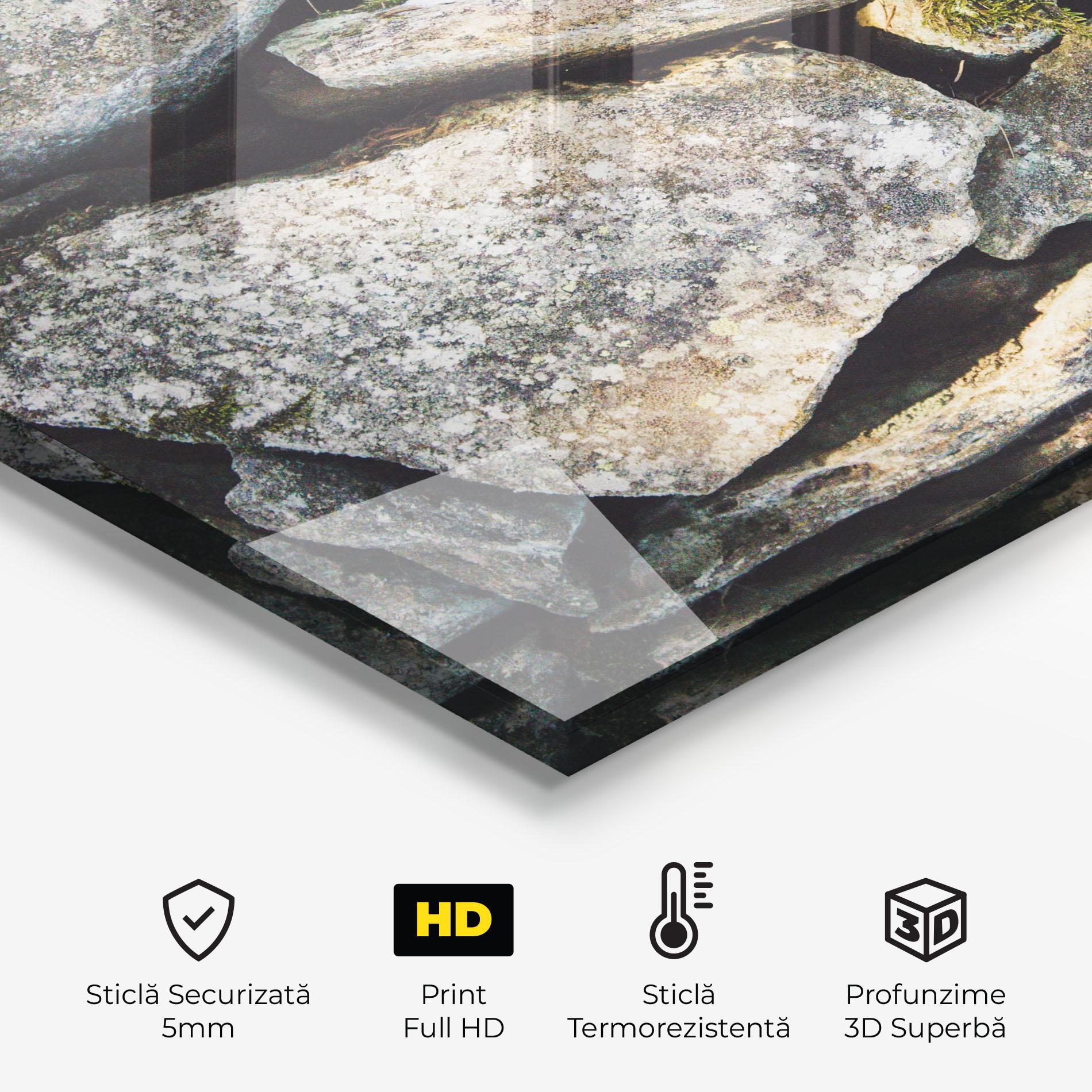 Panou Sticla Bucatarie Stone In Nature mockup 2