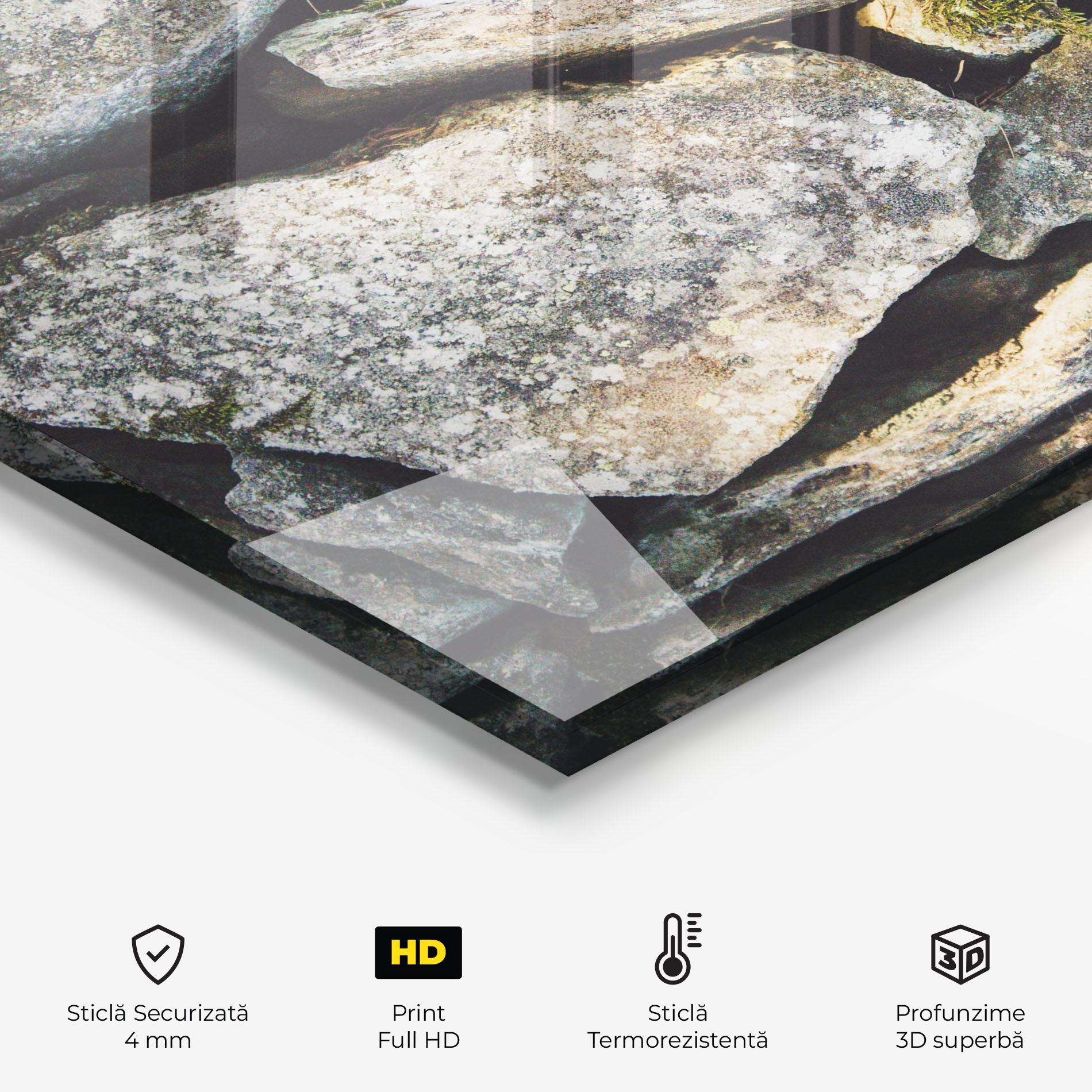 Panou Sticla Bucatarie Stone In Nature mockup 2