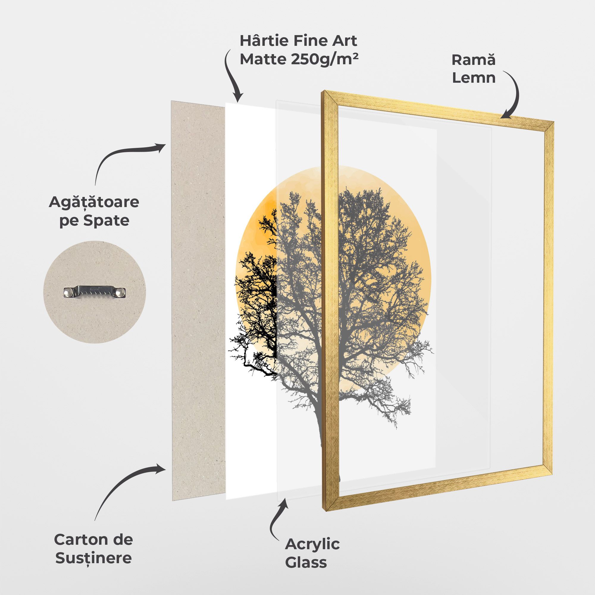 Orange Sun 01 mockup 1