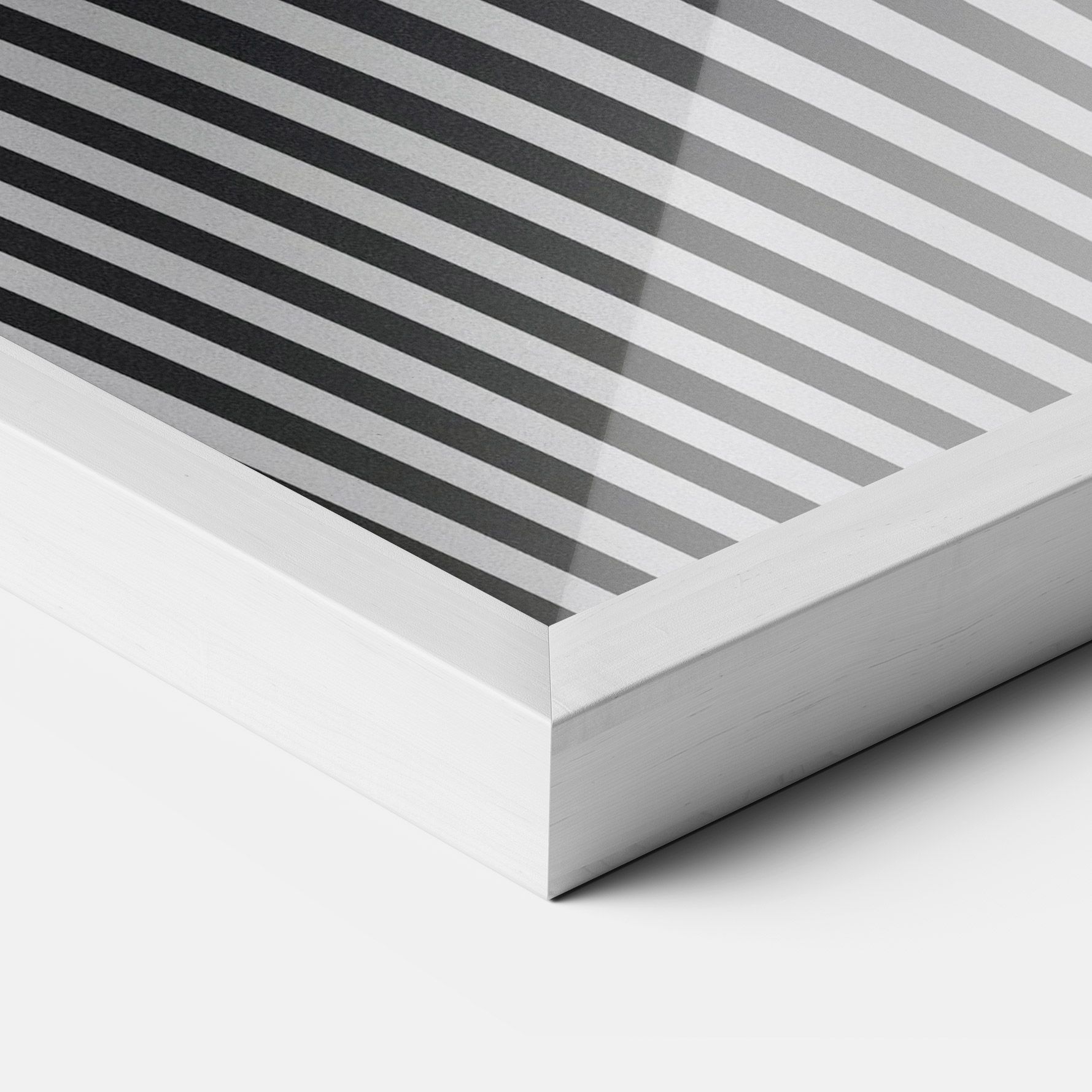 White Ball Lines mockup 3