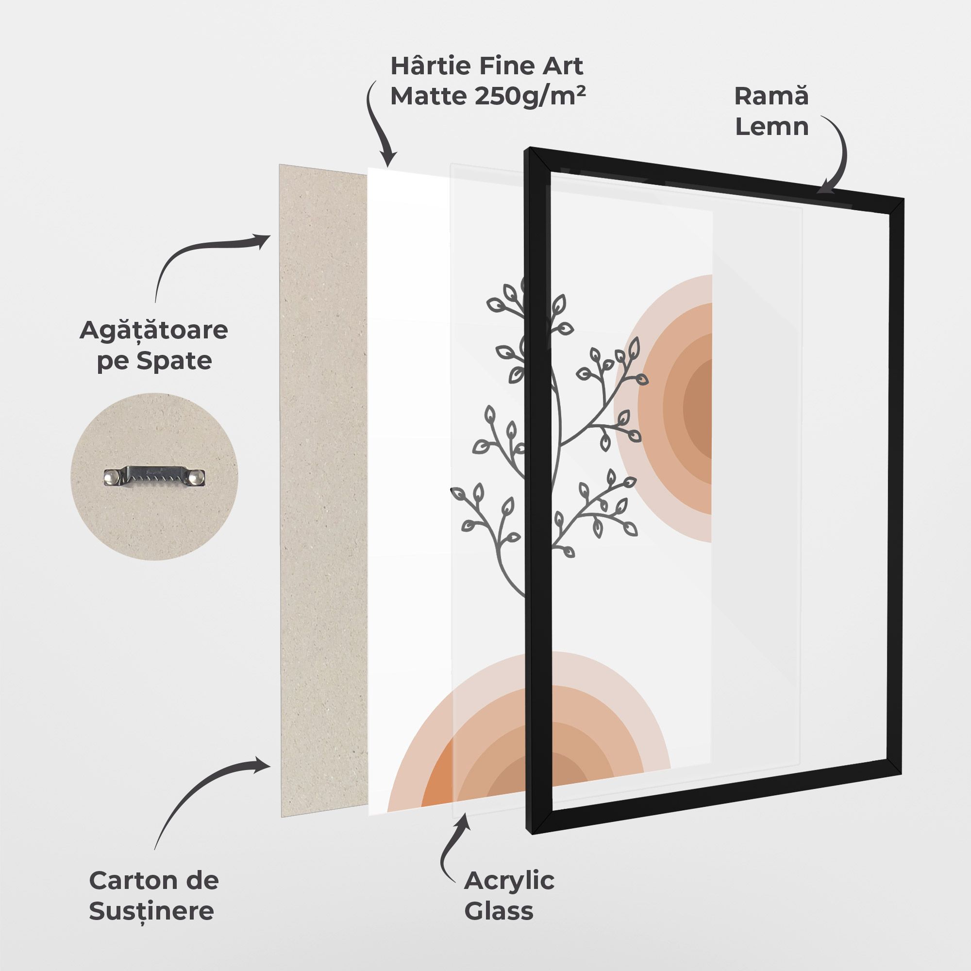 Plant Orange Circle mockup 1