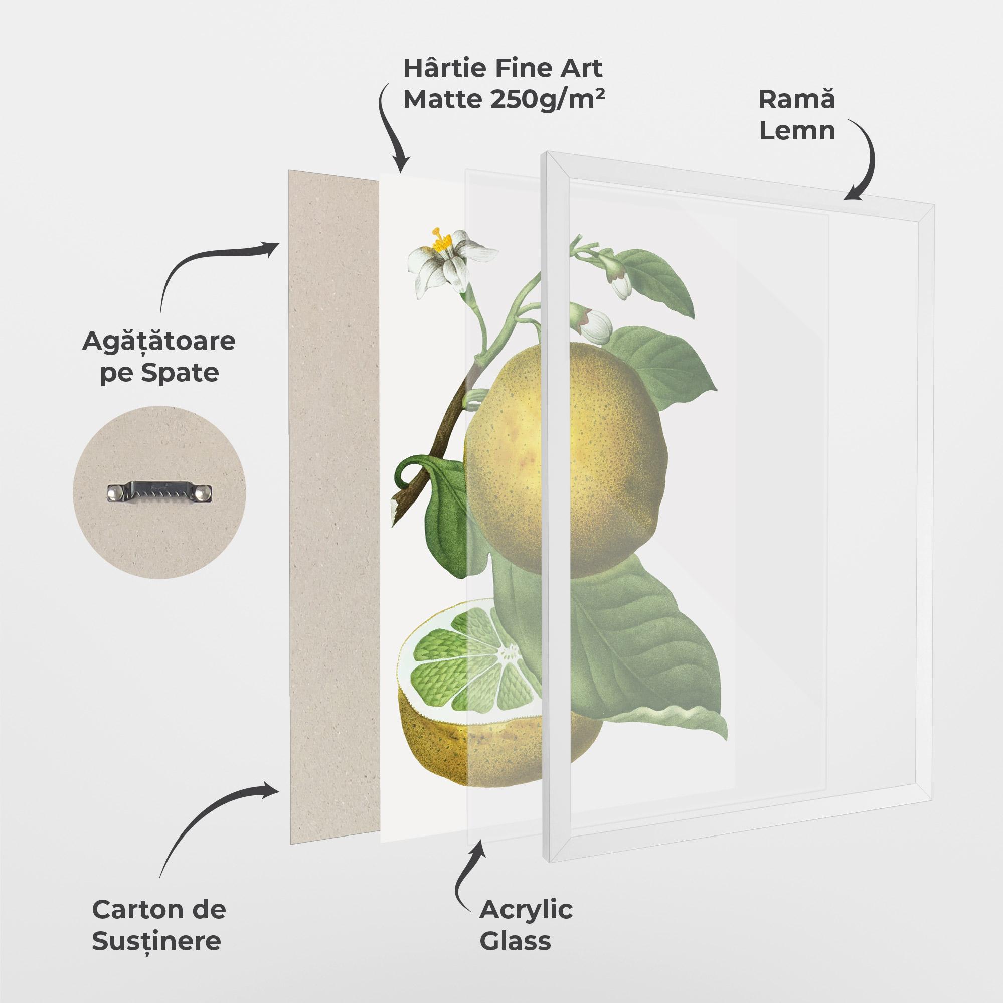 Poster Înrămat Lime Flower mockup 1