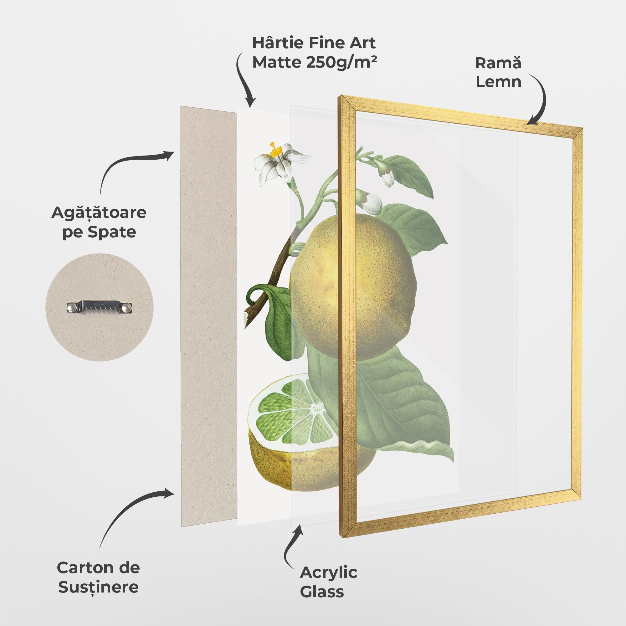 Poster Înrămat Lime Flower mockup 1