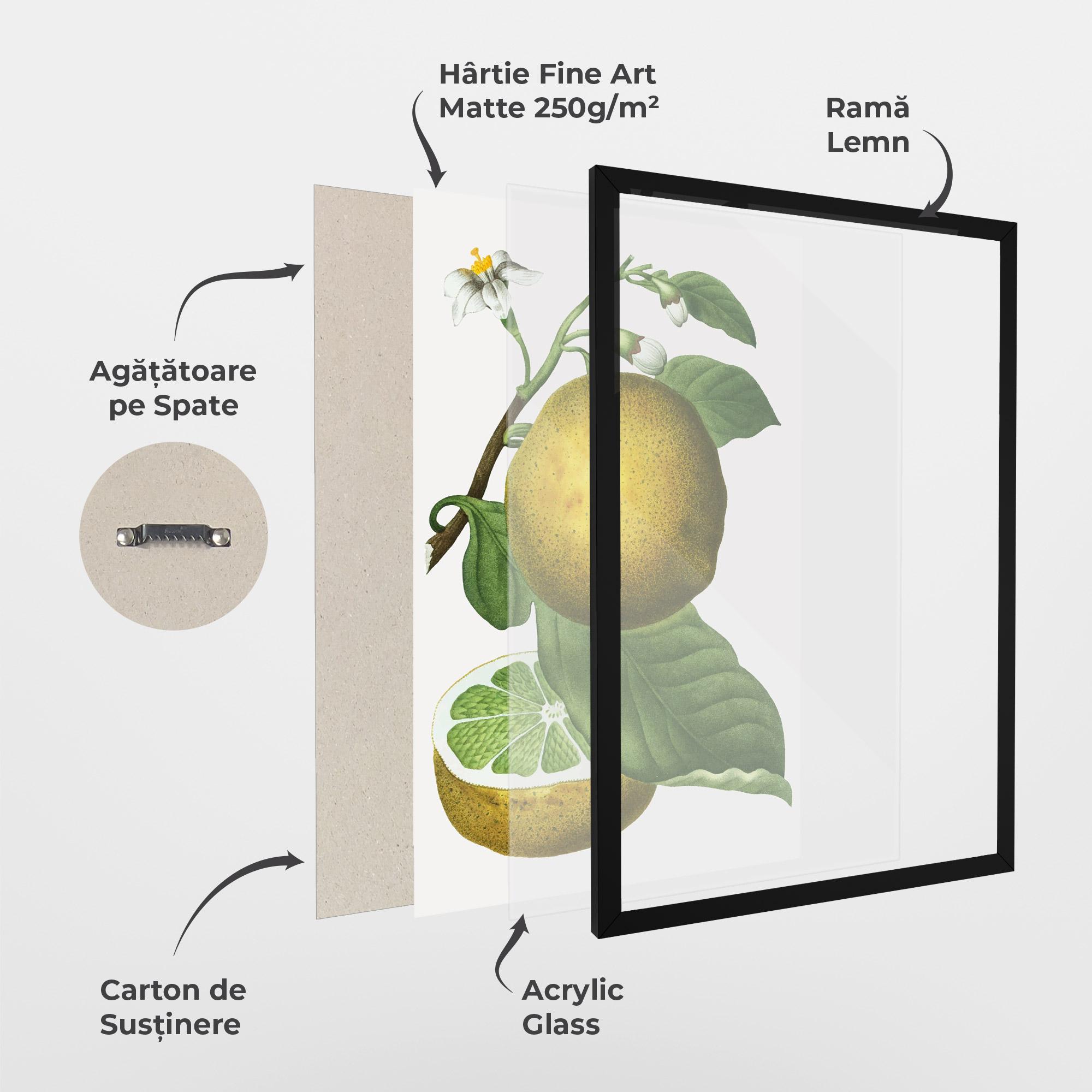 Poster Înrămat Lime Flower mockup 1