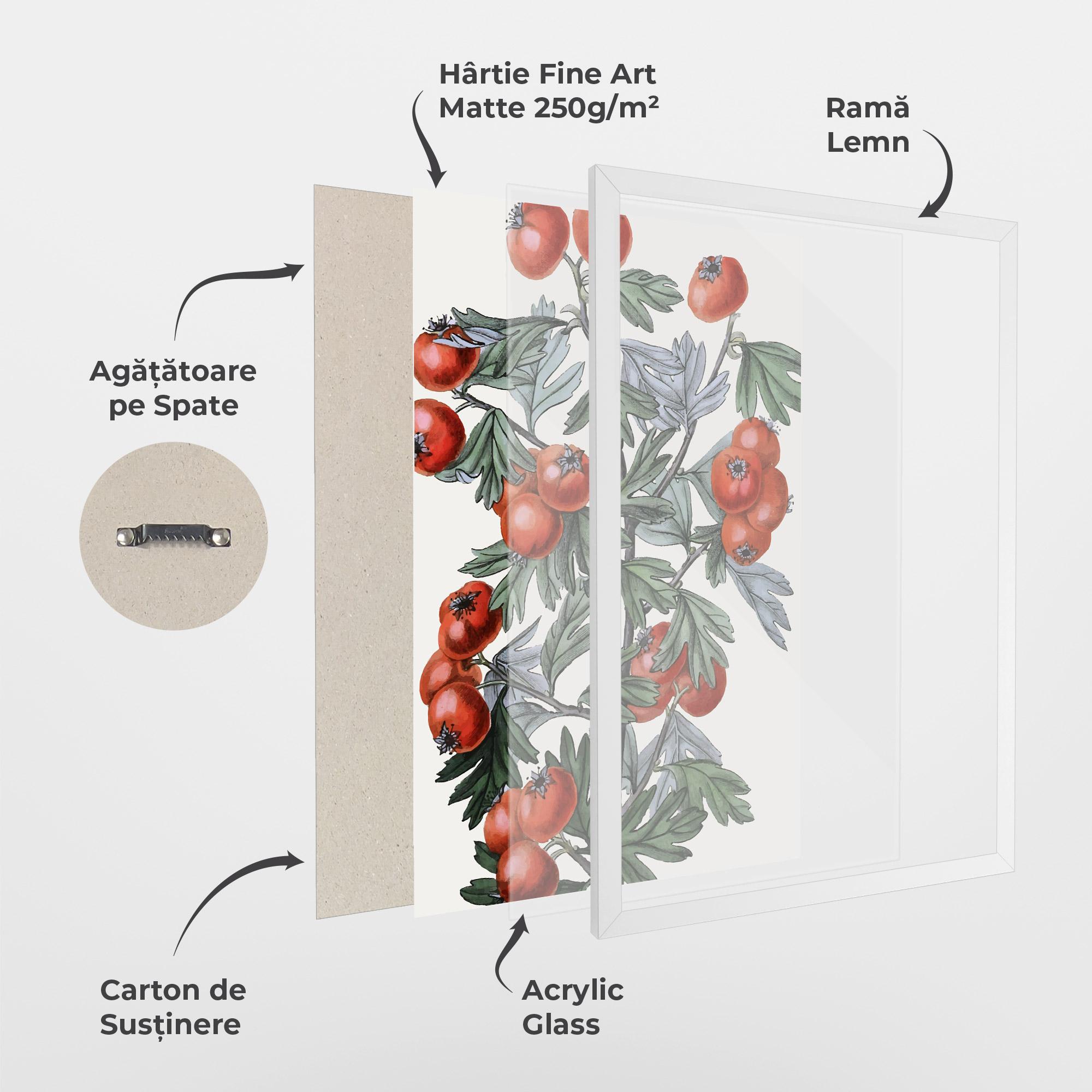 Poster Înrămat Cherry Drawing mockup 1