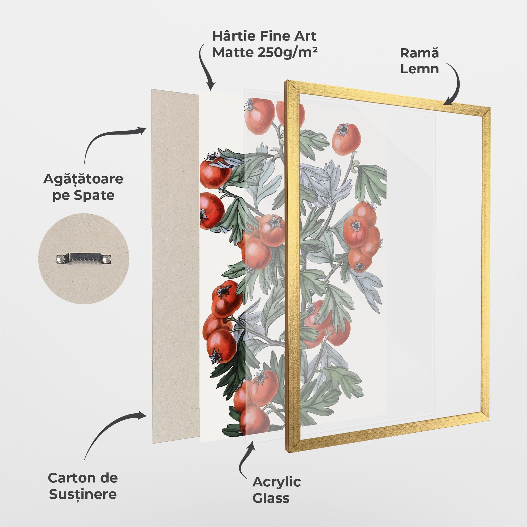 Poster Înrămat Cherry Drawing mockup 1