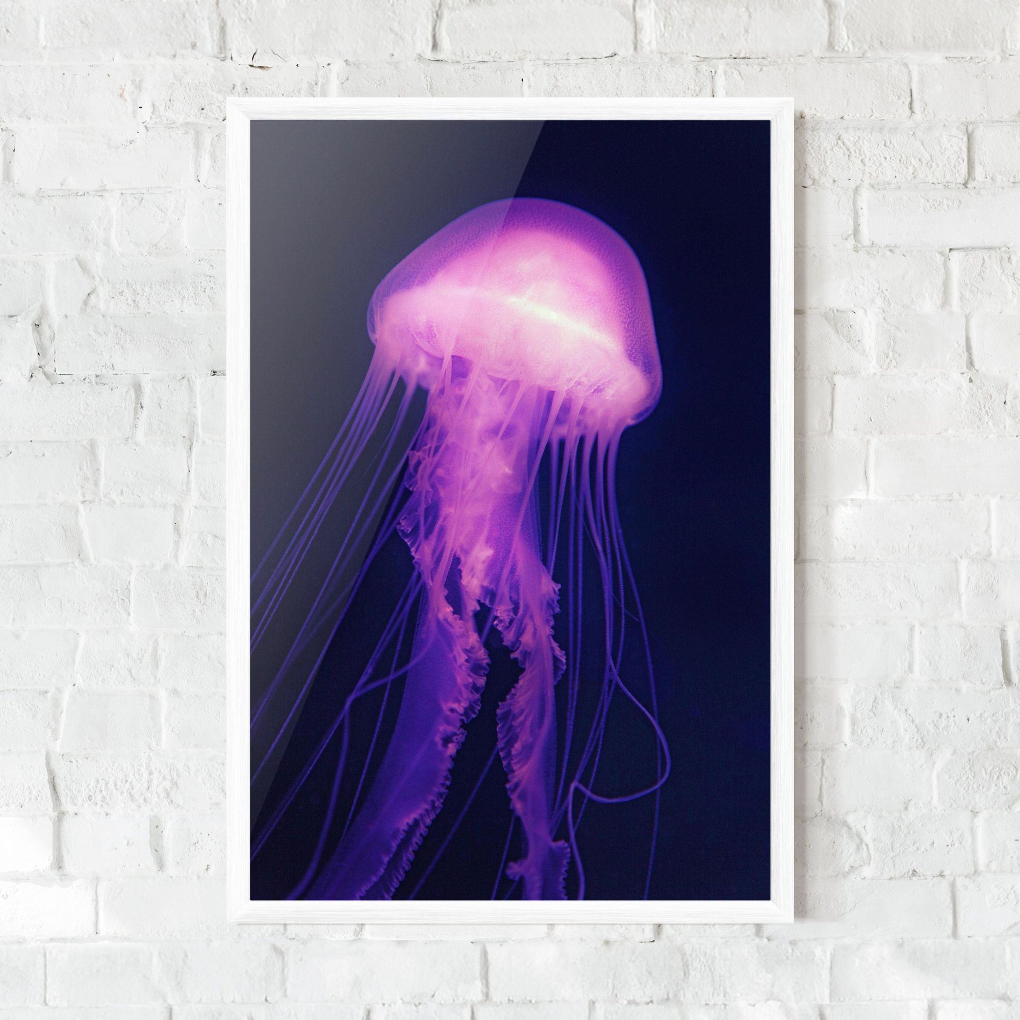Light Purple Jellyfish mockup 0