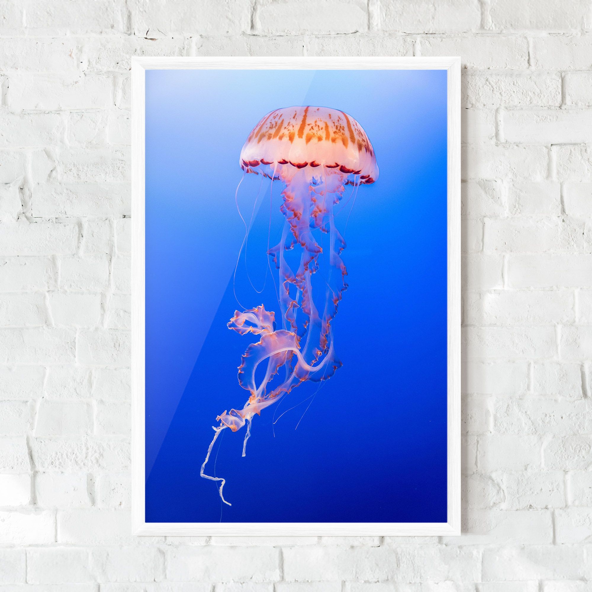 Pretty White Jellyfish mockup 0