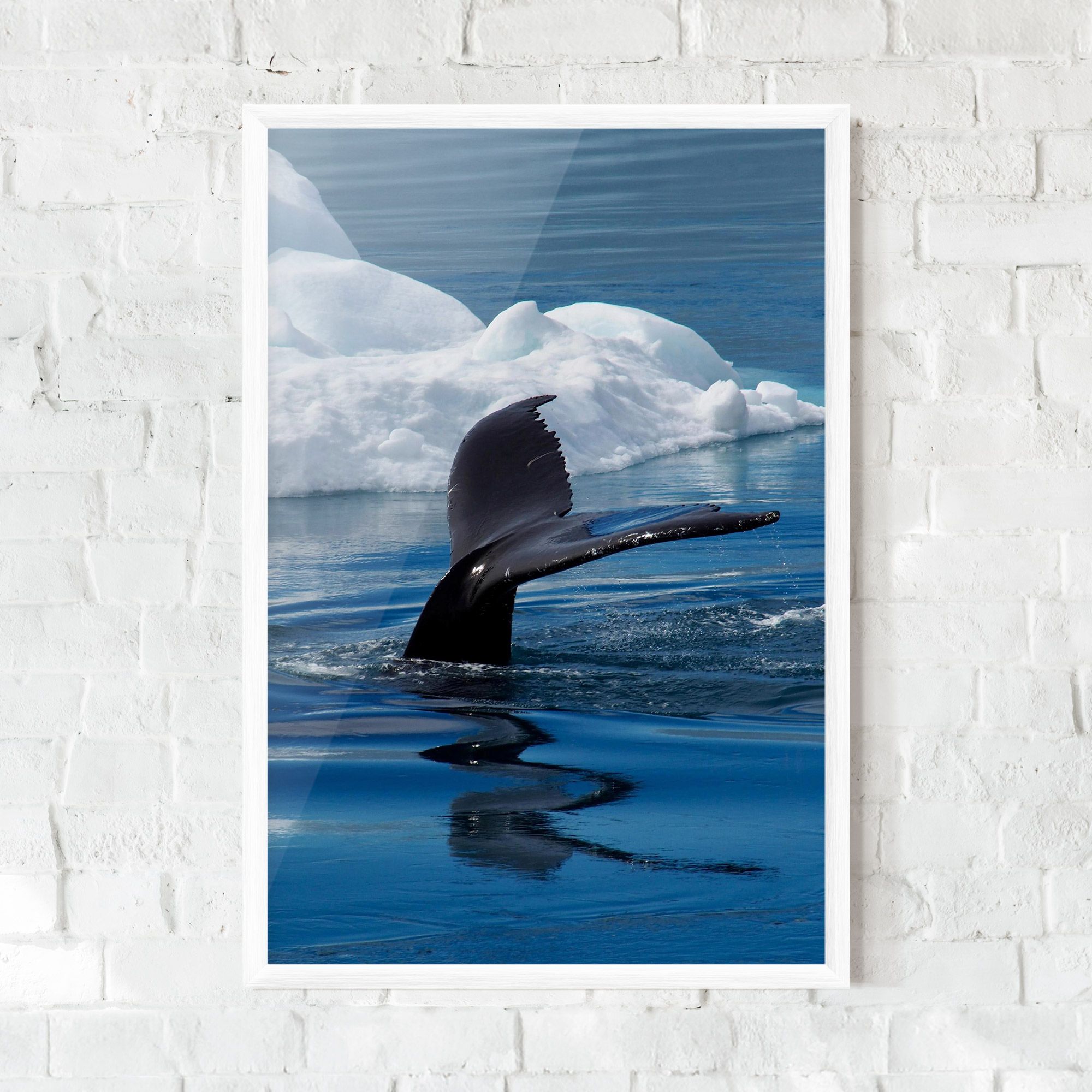 Whale Tail mockup 0