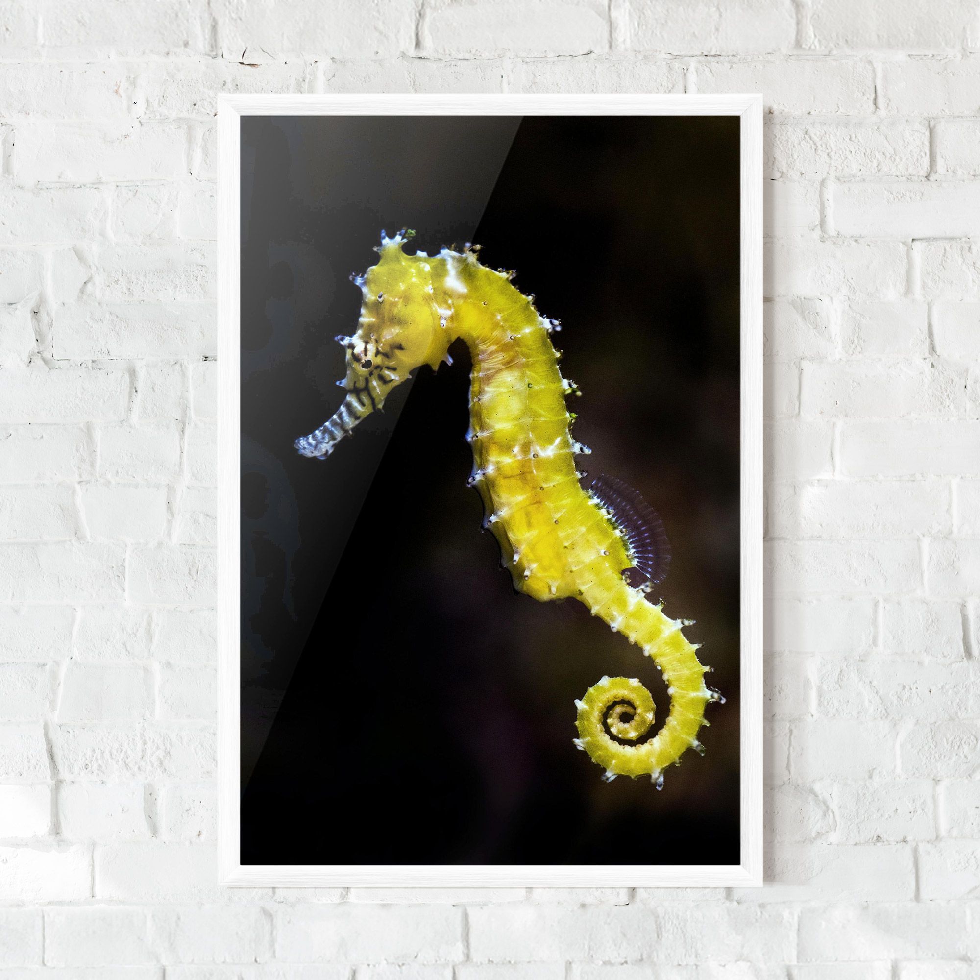 Yellow Seahorse mockup 0