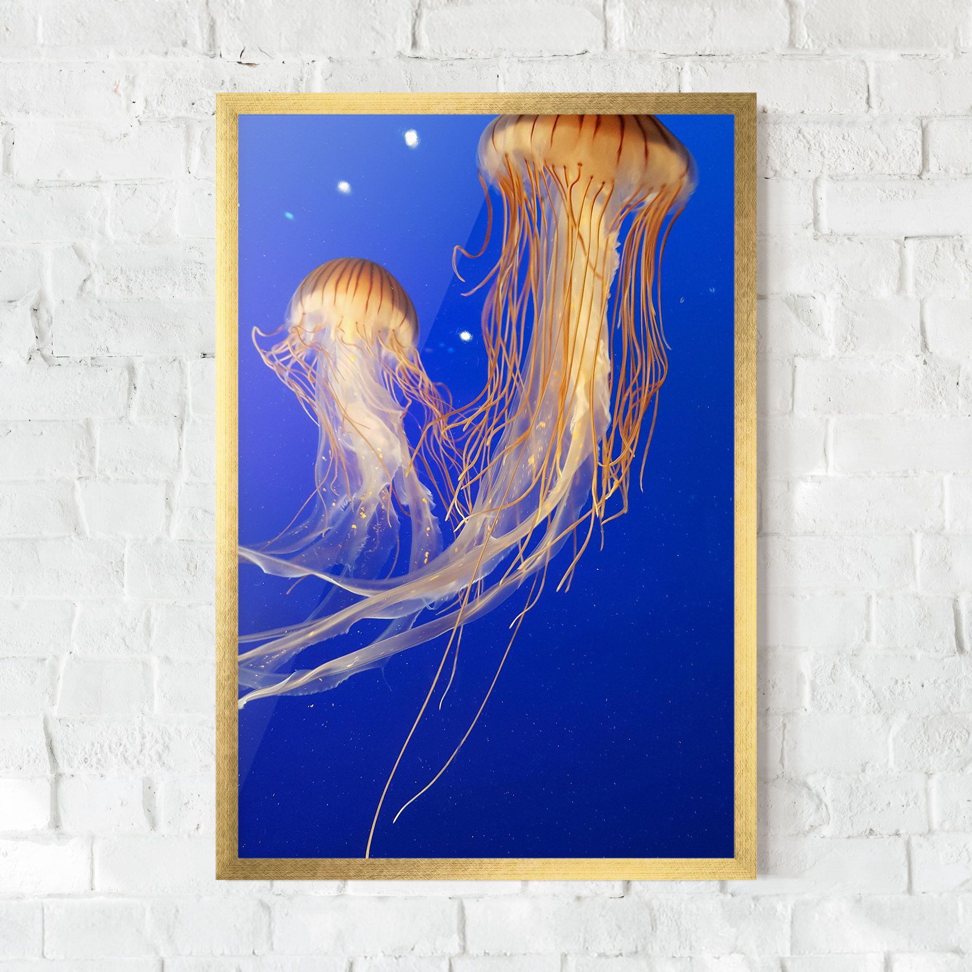 Light Orange Jellyfish mockup 0