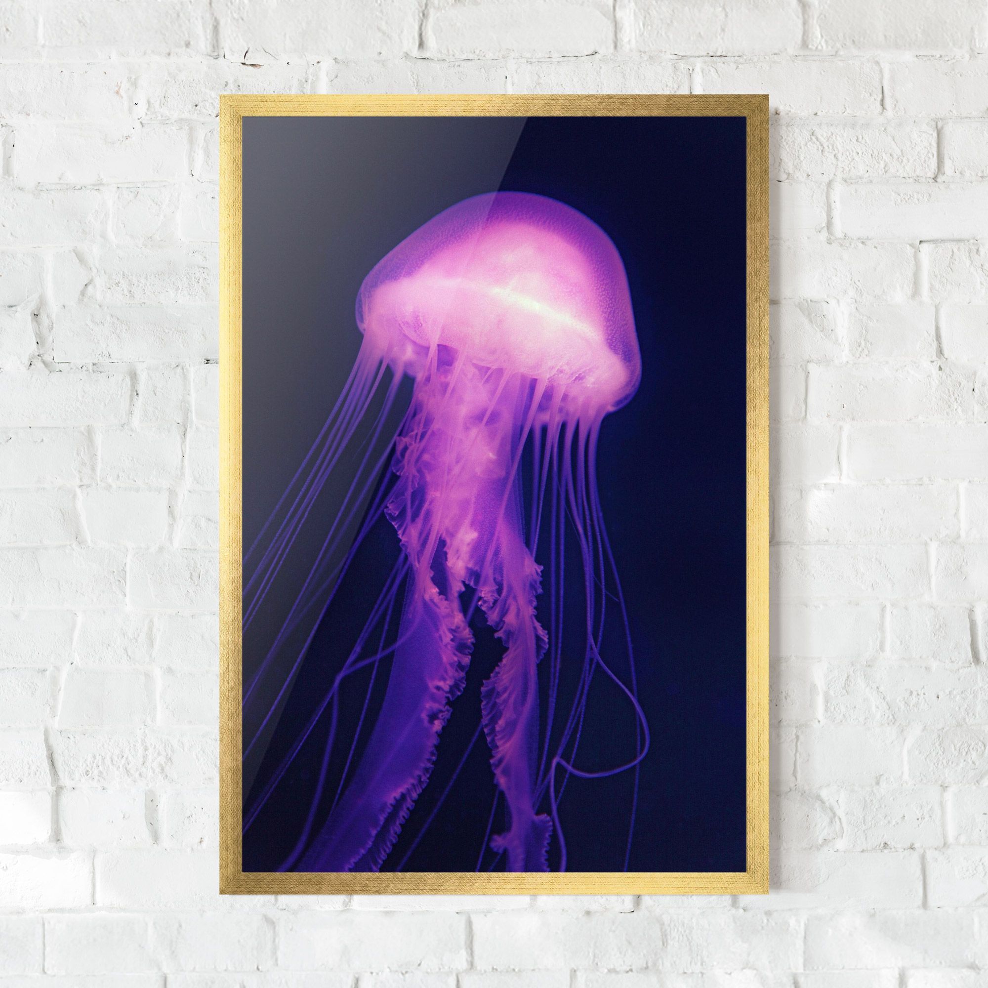 Light Purple Jellyfish mockup 0