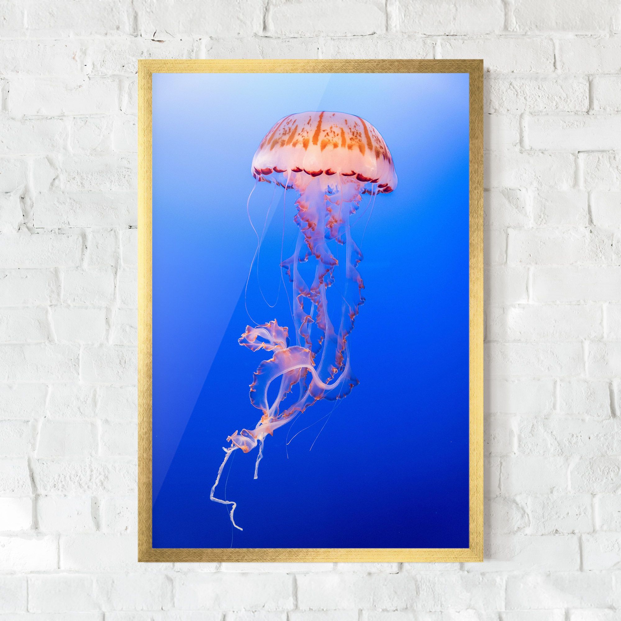 Pretty White Jellyfish mockup 0