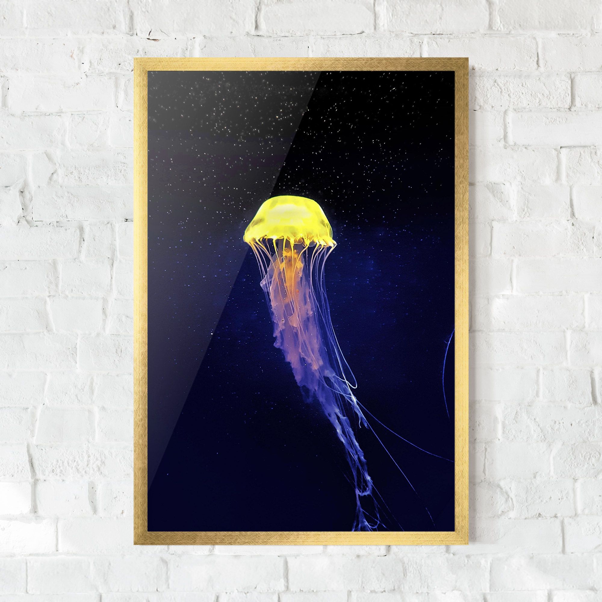 Purple Jellyfish mockup 0