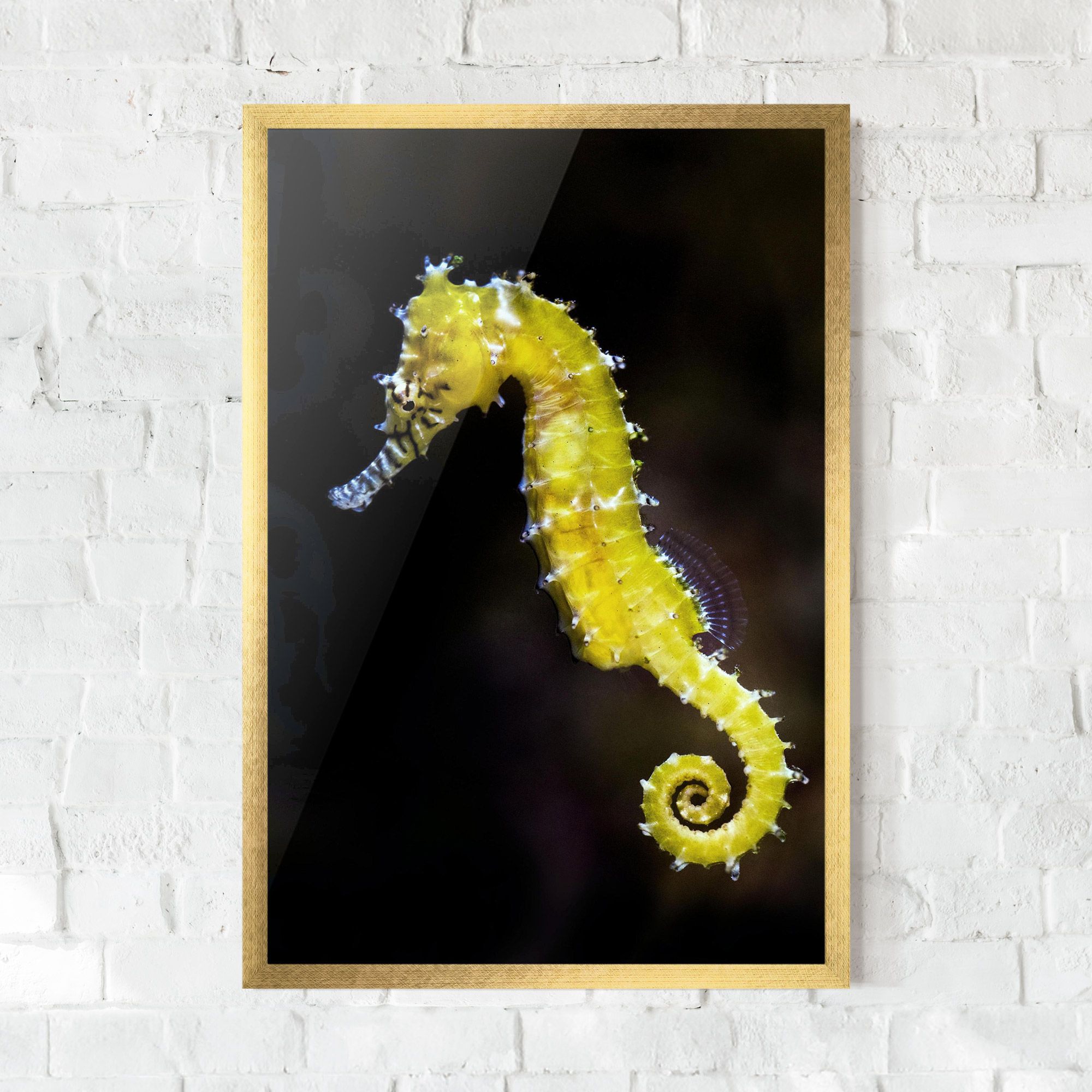 Yellow Seahorse mockup 0