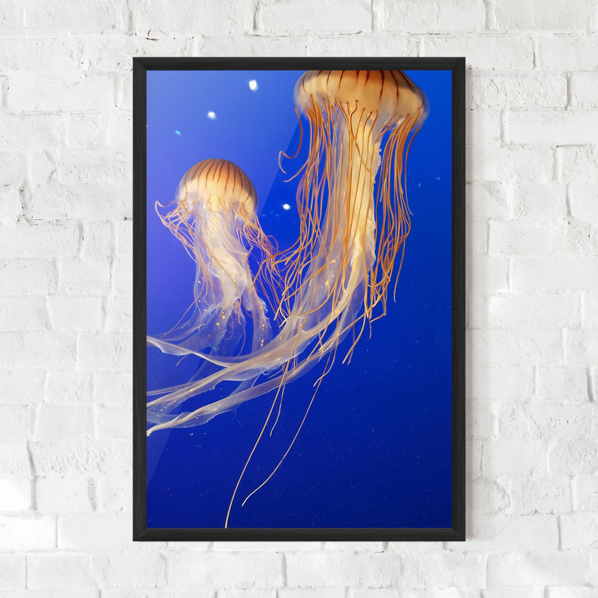 Light Orange Jellyfish mockup 0