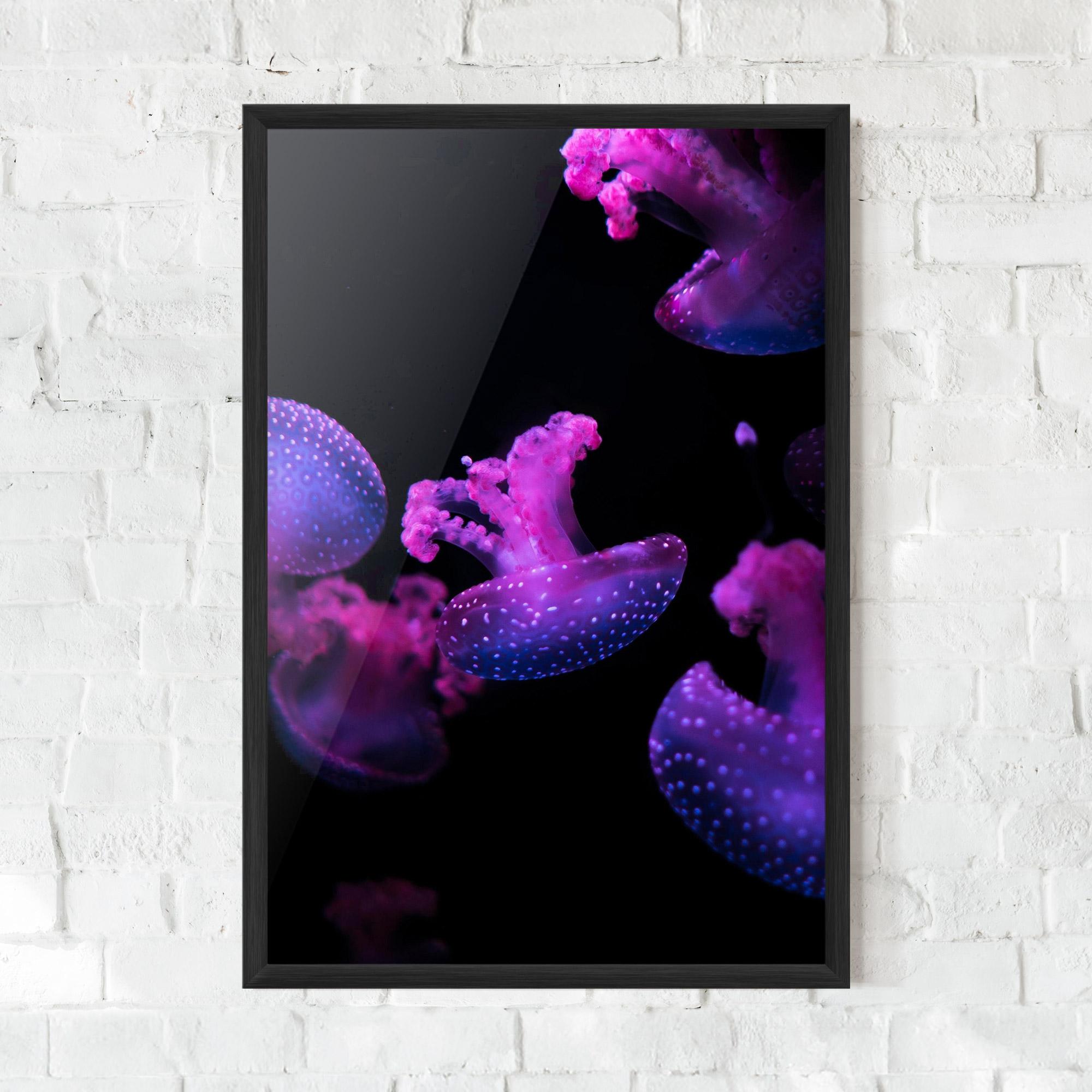 Poster Înrămat Little Purple Jellyfish mockup 0