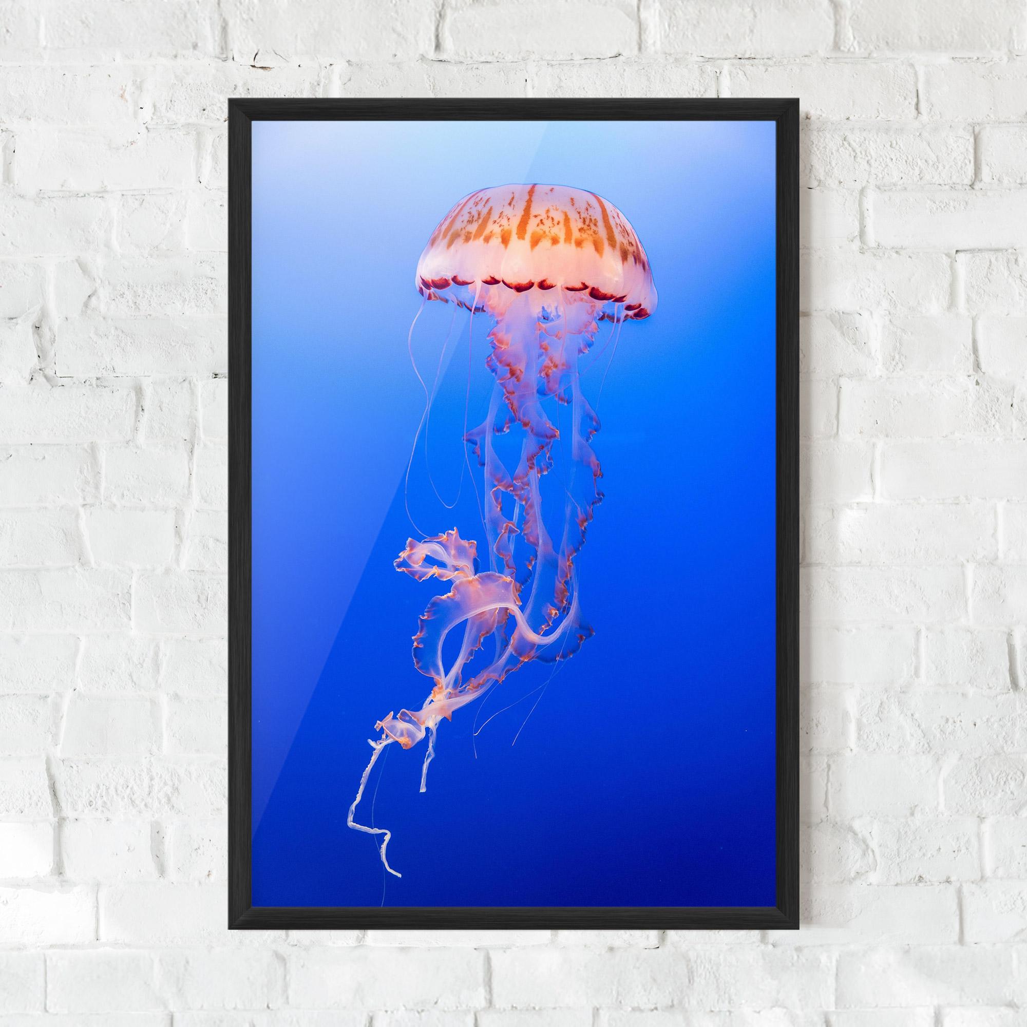 Poster Înrămat Pretty White Jellyfish mockup 0
