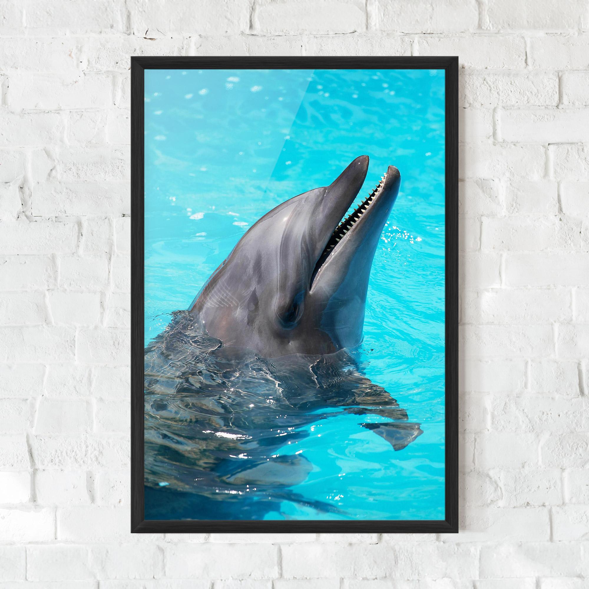 Poster Înrămat Trained Dolphin mockup 0