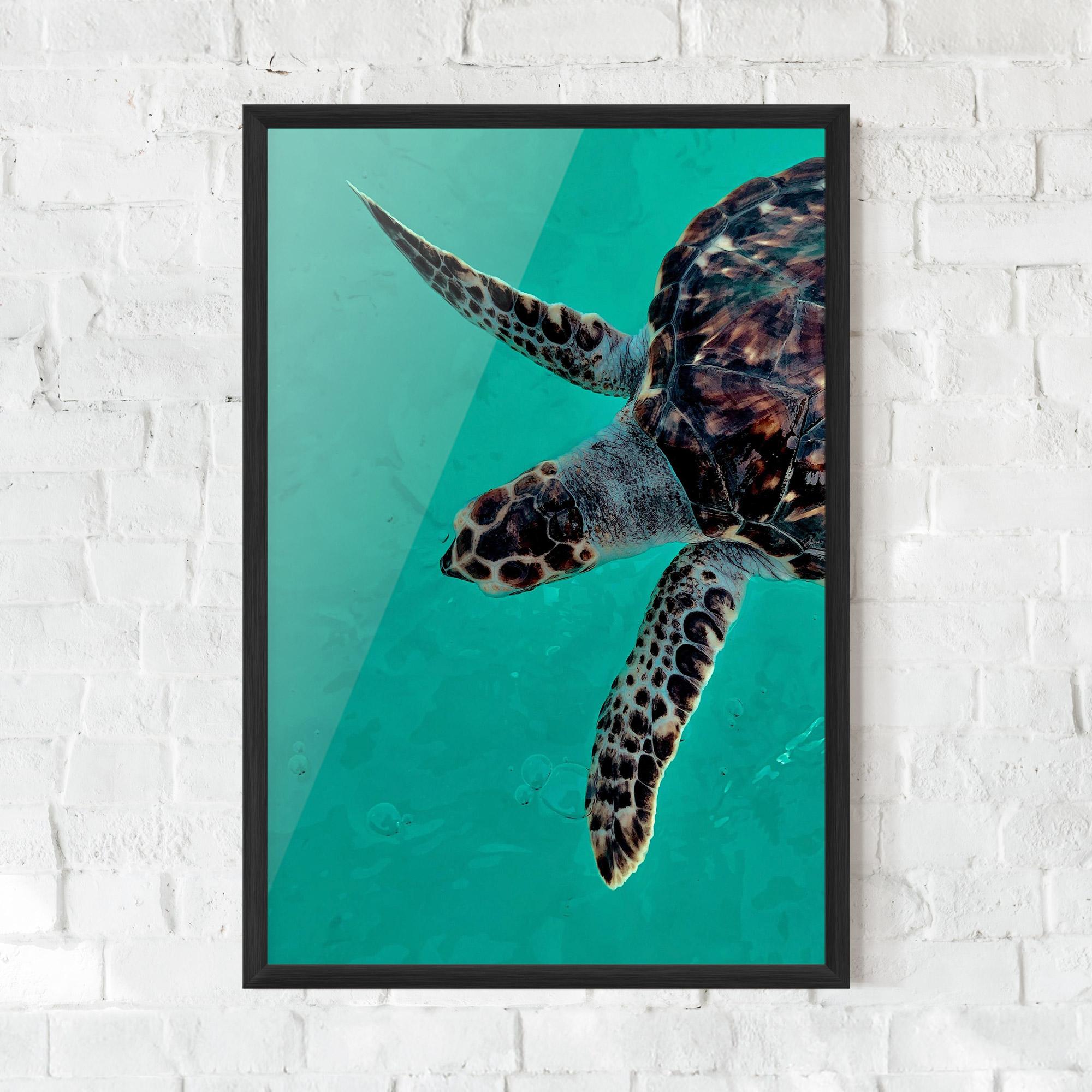 Poster Înrămat Turtle Sweeming mockup 0