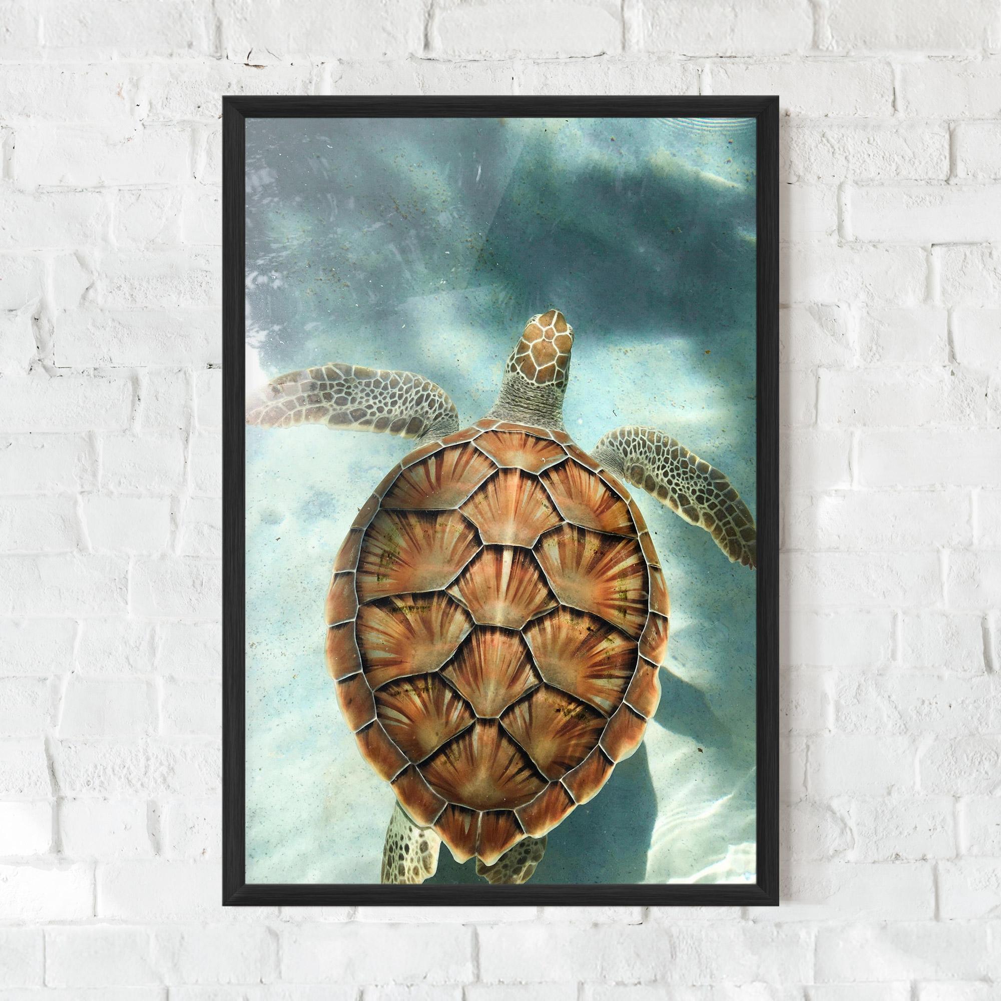 Poster Înrămat Water Tortoise mockup 0